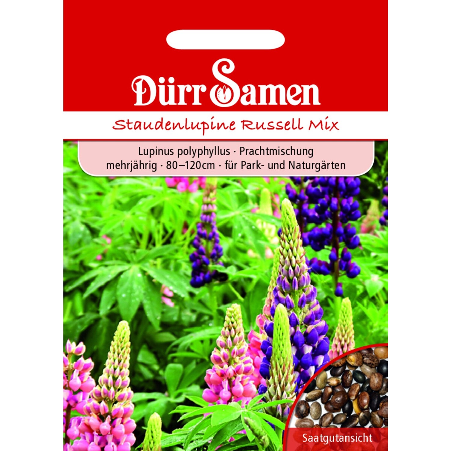 Dürr Samen Staudenlupine Prachtmischung Mehrjährig Saatgut günstig online kaufen