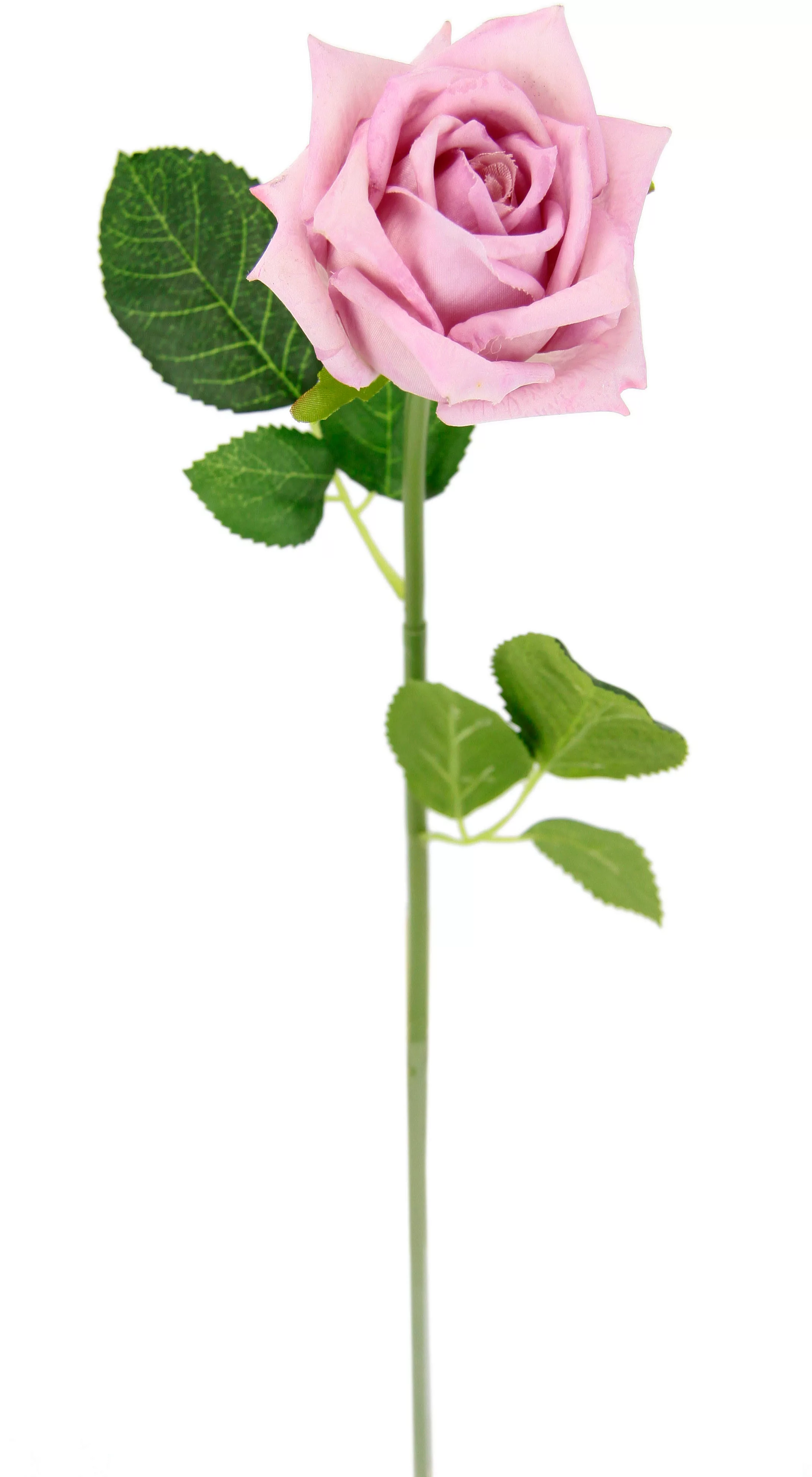 I.GE.A. Kunstblume "Rose", 5er Set künstliche Rosen, Seidenrosen, Bouquet, günstig online kaufen