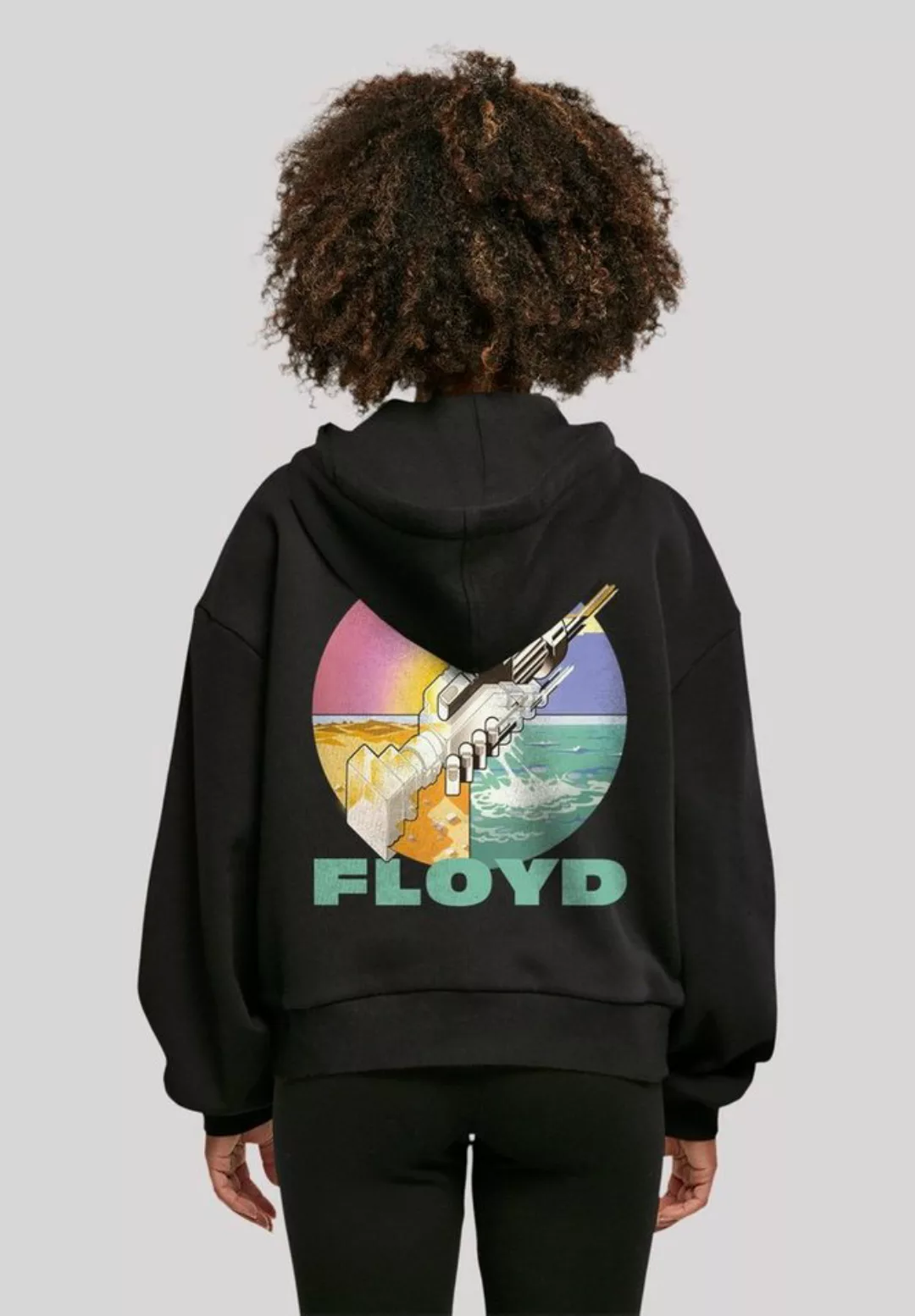 F4NT4STIC Kapuzenpullover "Pink Floyd Wish You Were Here", Print günstig online kaufen