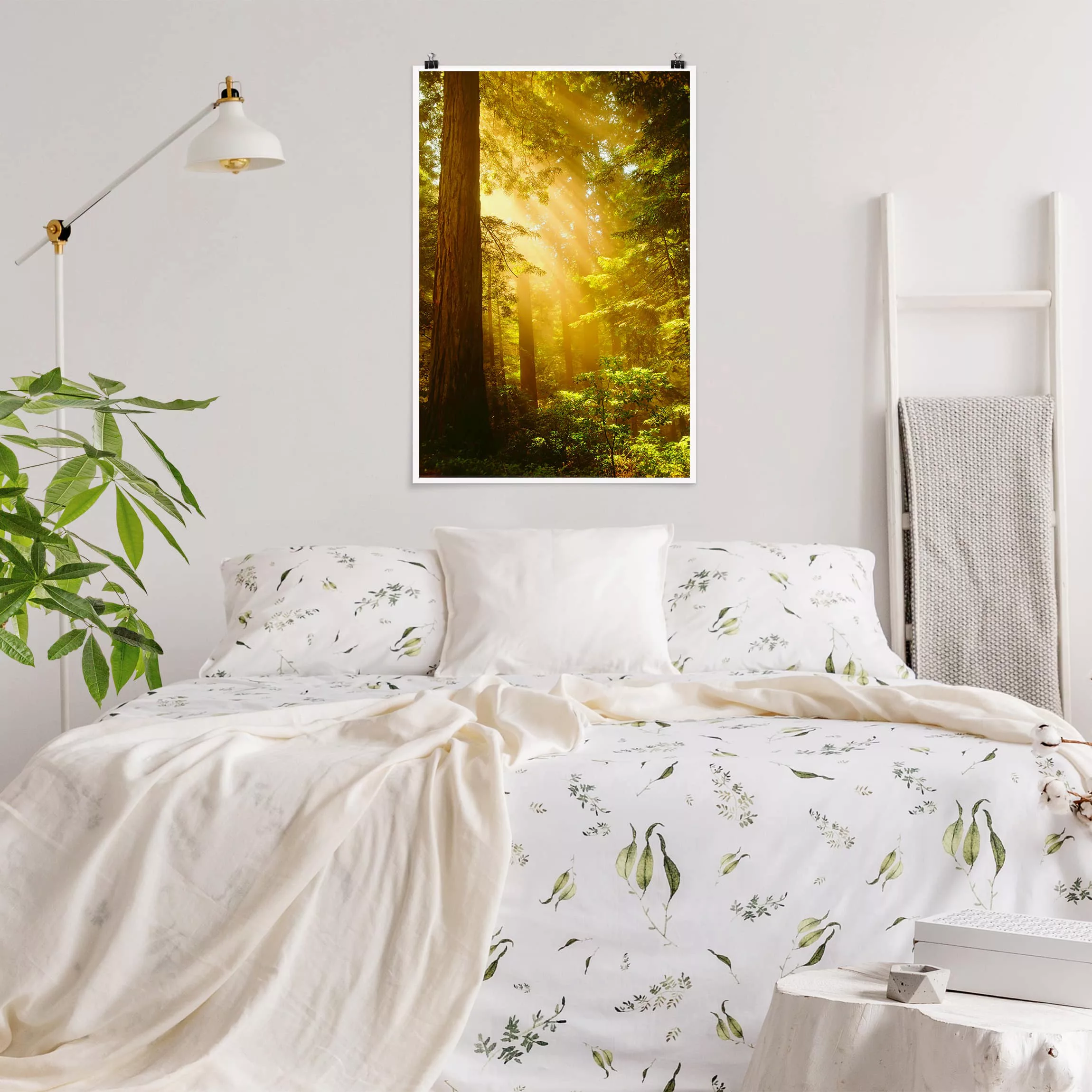 Poster Wald - Hochformat Morgengold günstig online kaufen