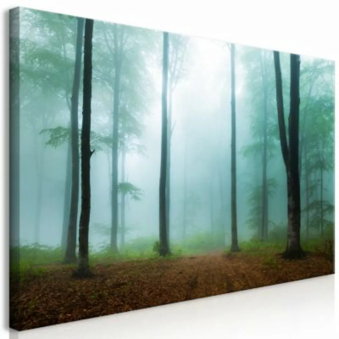 artgeist Wandbild Misty Morning (1 Part) Wide mehrfarbig Gr. 70 x 35 günstig online kaufen