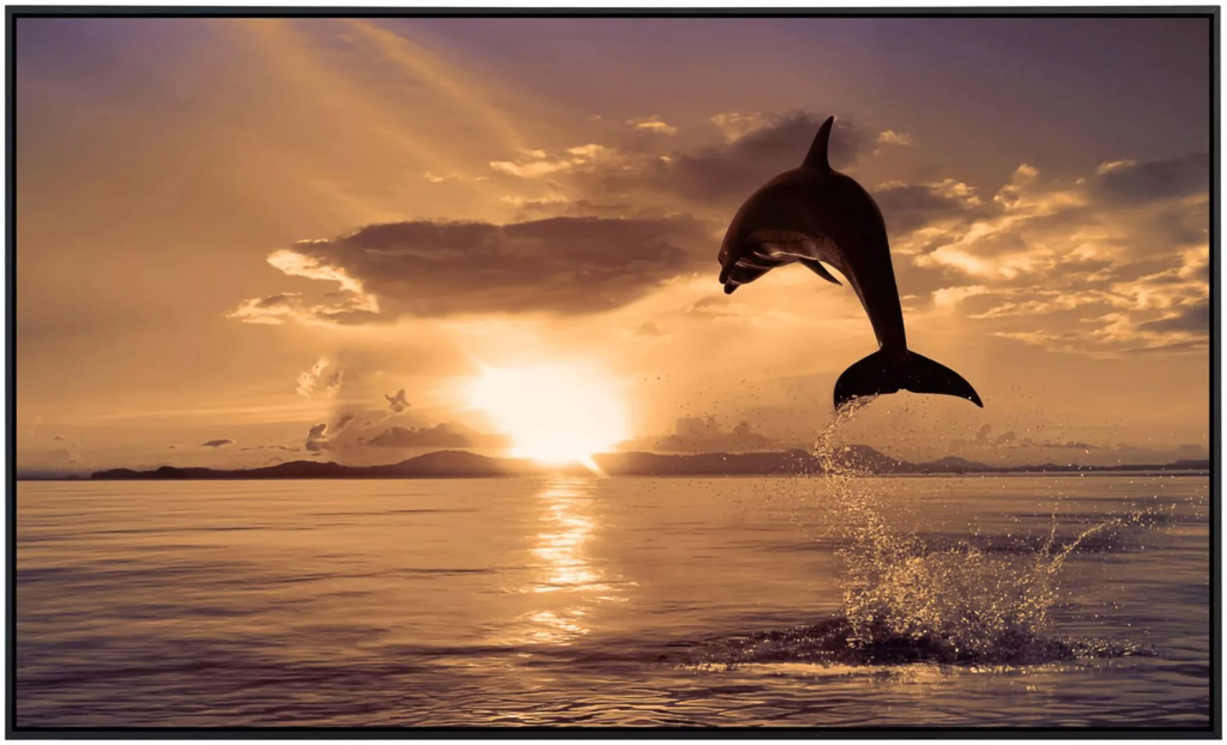 Papermoon Infrarotheizung »Springender Delphin« günstig online kaufen