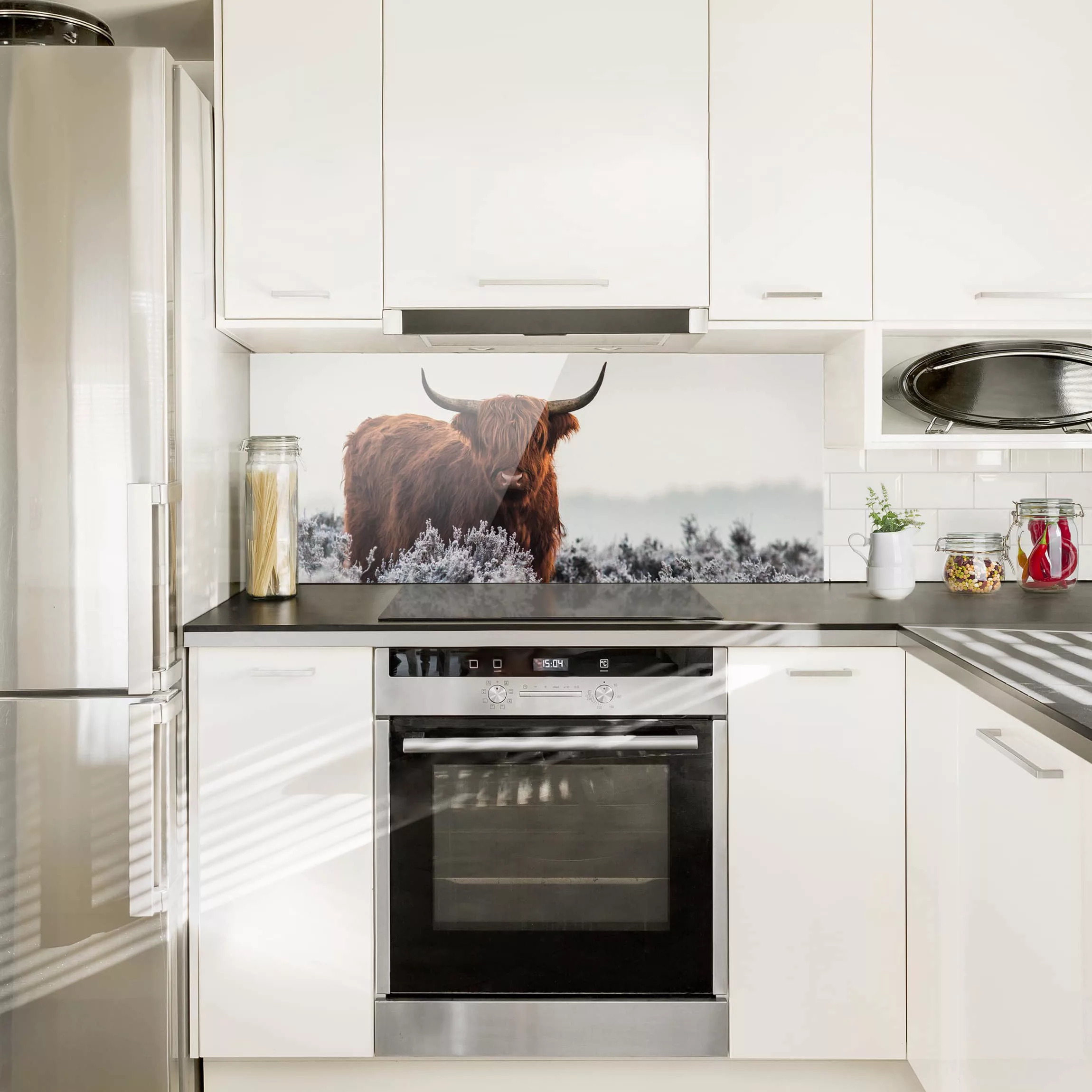 Glas Spritzschutz Tiere - Panorama Bison in den Highlands günstig online kaufen