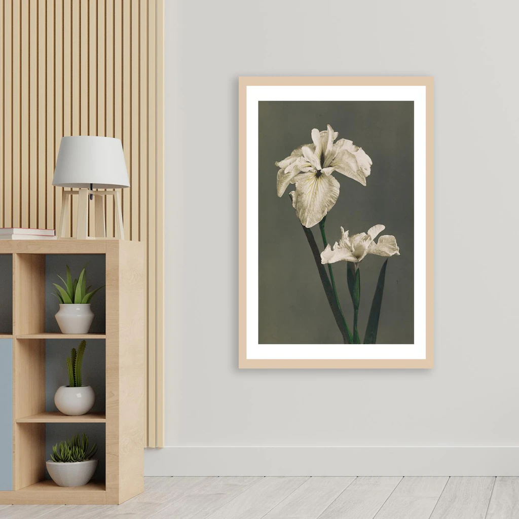 queence Bild mit Rahmen "Gwendolin", Blumen-Pflanzen, Premium Poster mit Na günstig online kaufen