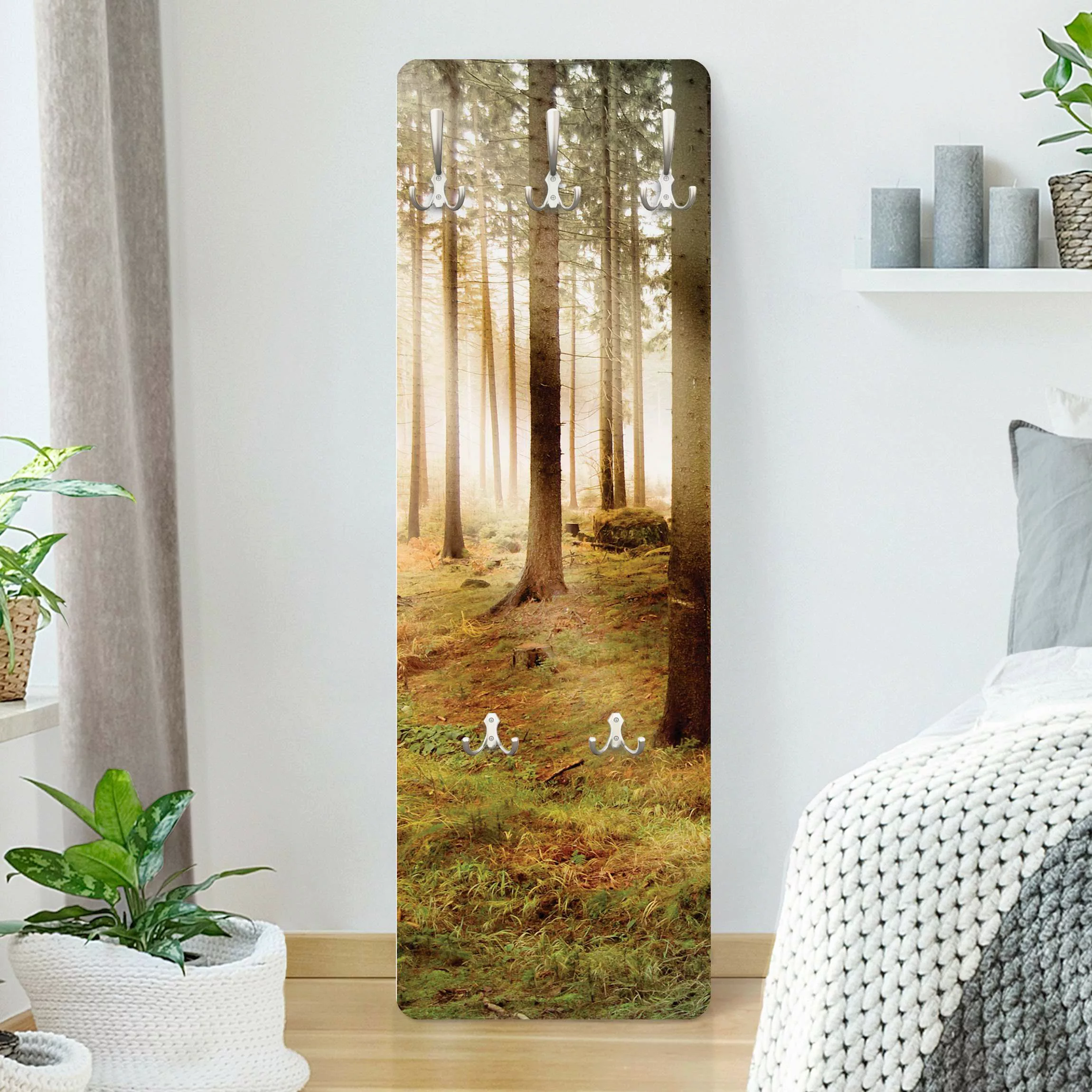 Wandgarderobe Holzpaneel Natur & Landschaft No.CA48 Morning Forest günstig online kaufen