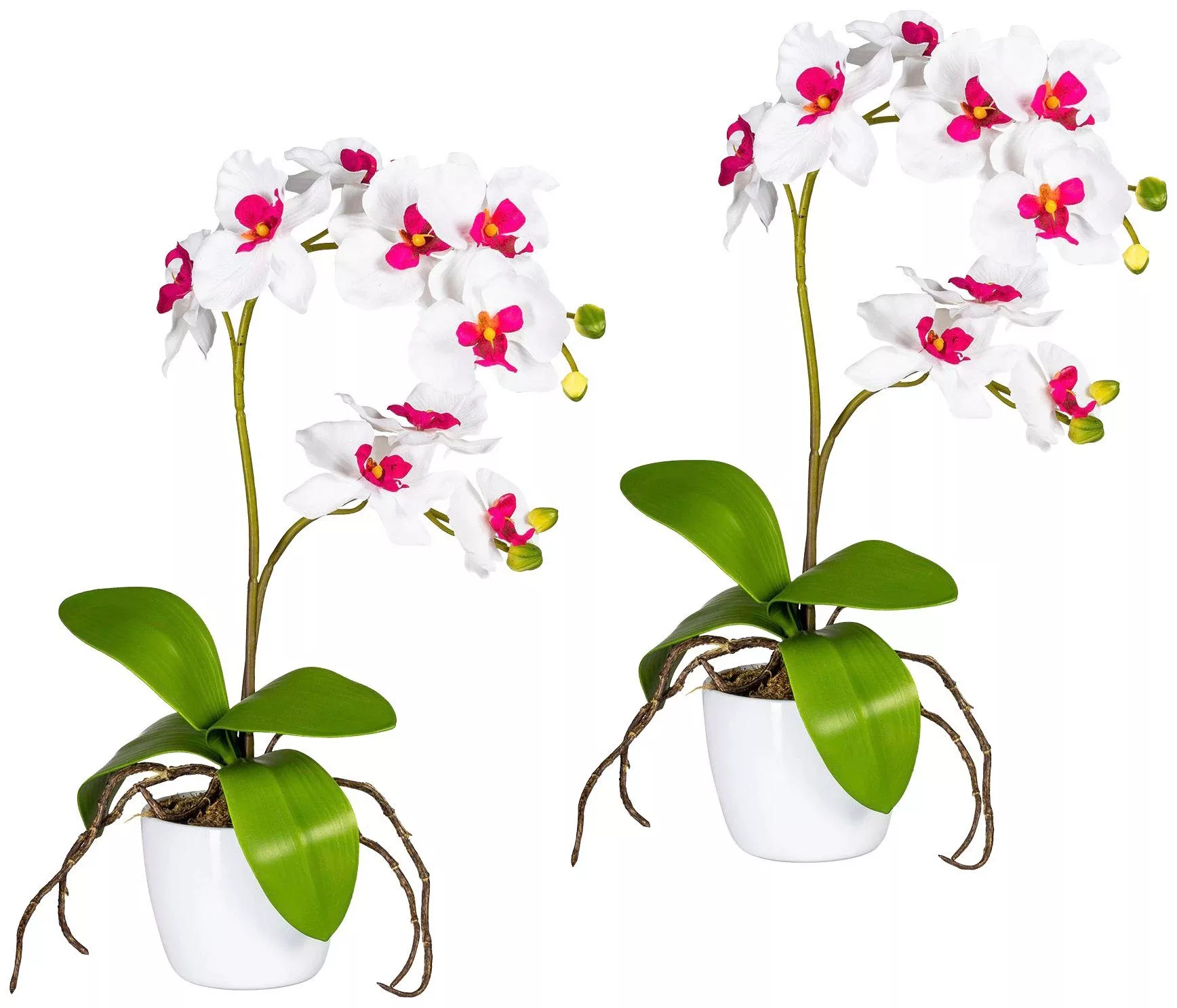 Creativ green Kunstpflanze "Orchidee Phalaenopsis", im Keramiktopf günstig online kaufen