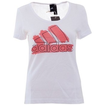 adidas  T-Shirt Bos Special Tee günstig online kaufen