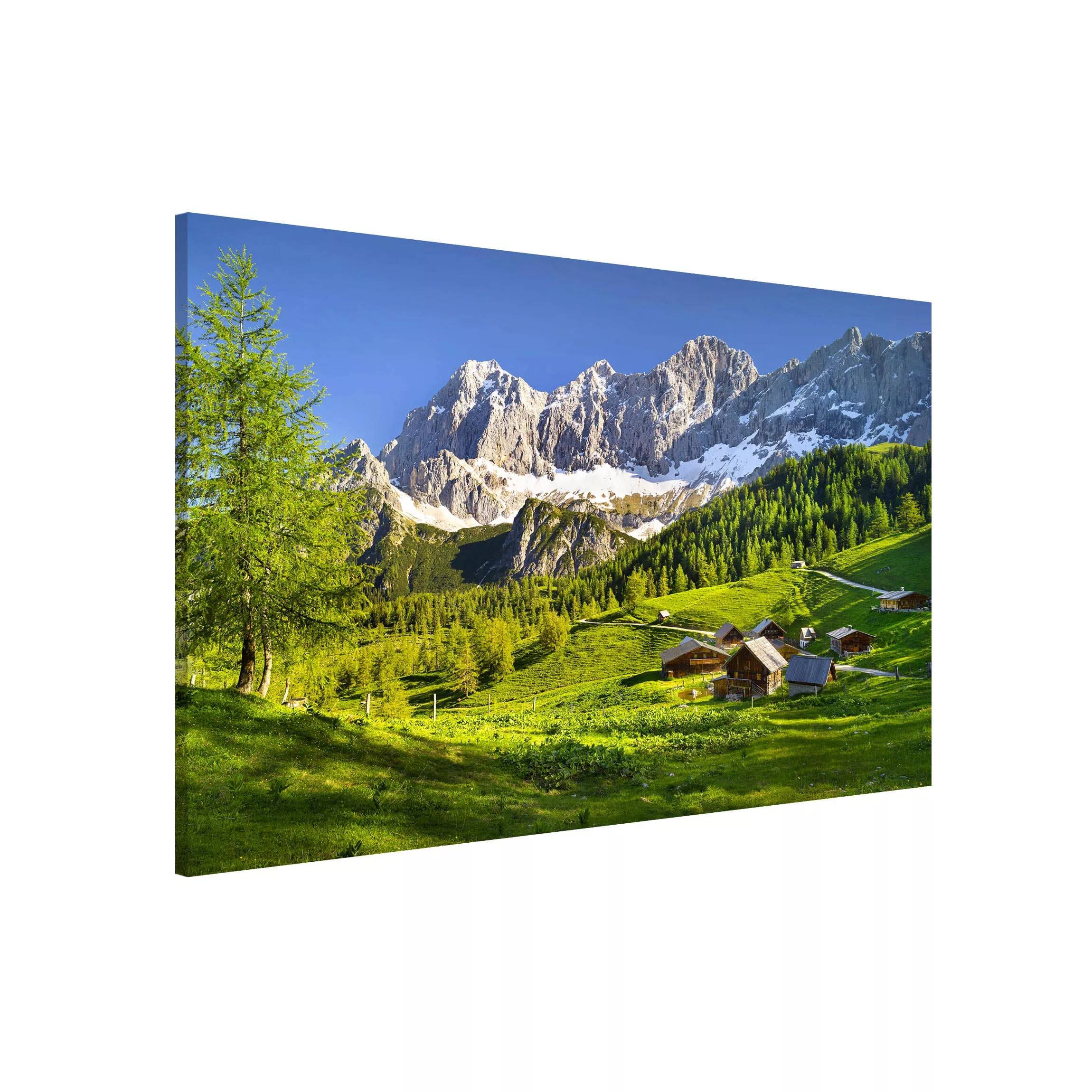 Magnettafel Natur & Landschaft - Querformat 4:3 Steiermark Almwiese günstig online kaufen