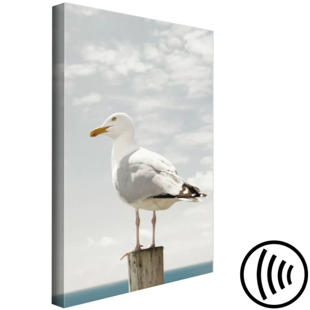 Leinwandbild Seagull (1 Part) Vertical XXL günstig online kaufen