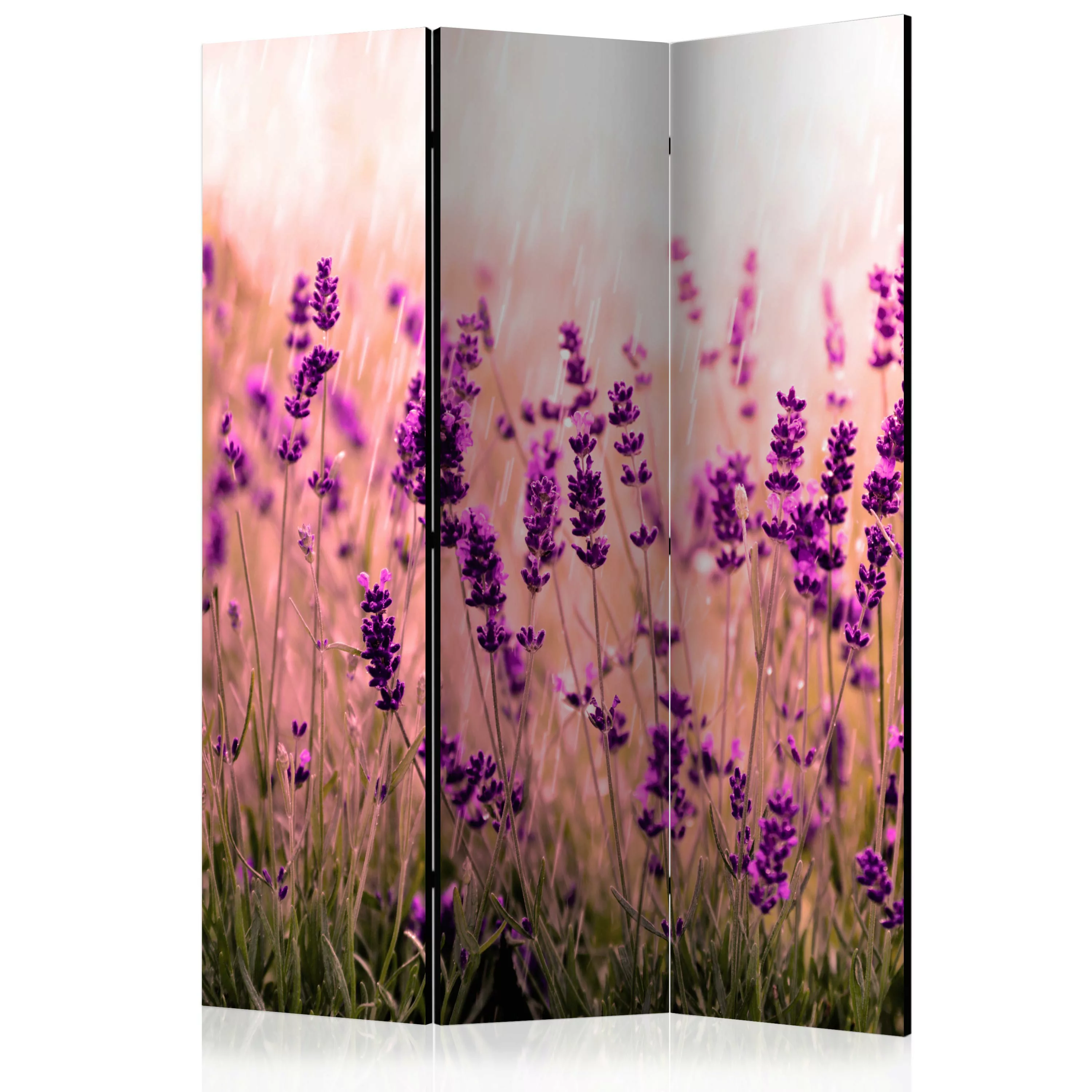 3-teiliges Paravent - Lavender In The Rain [room Dividers] günstig online kaufen