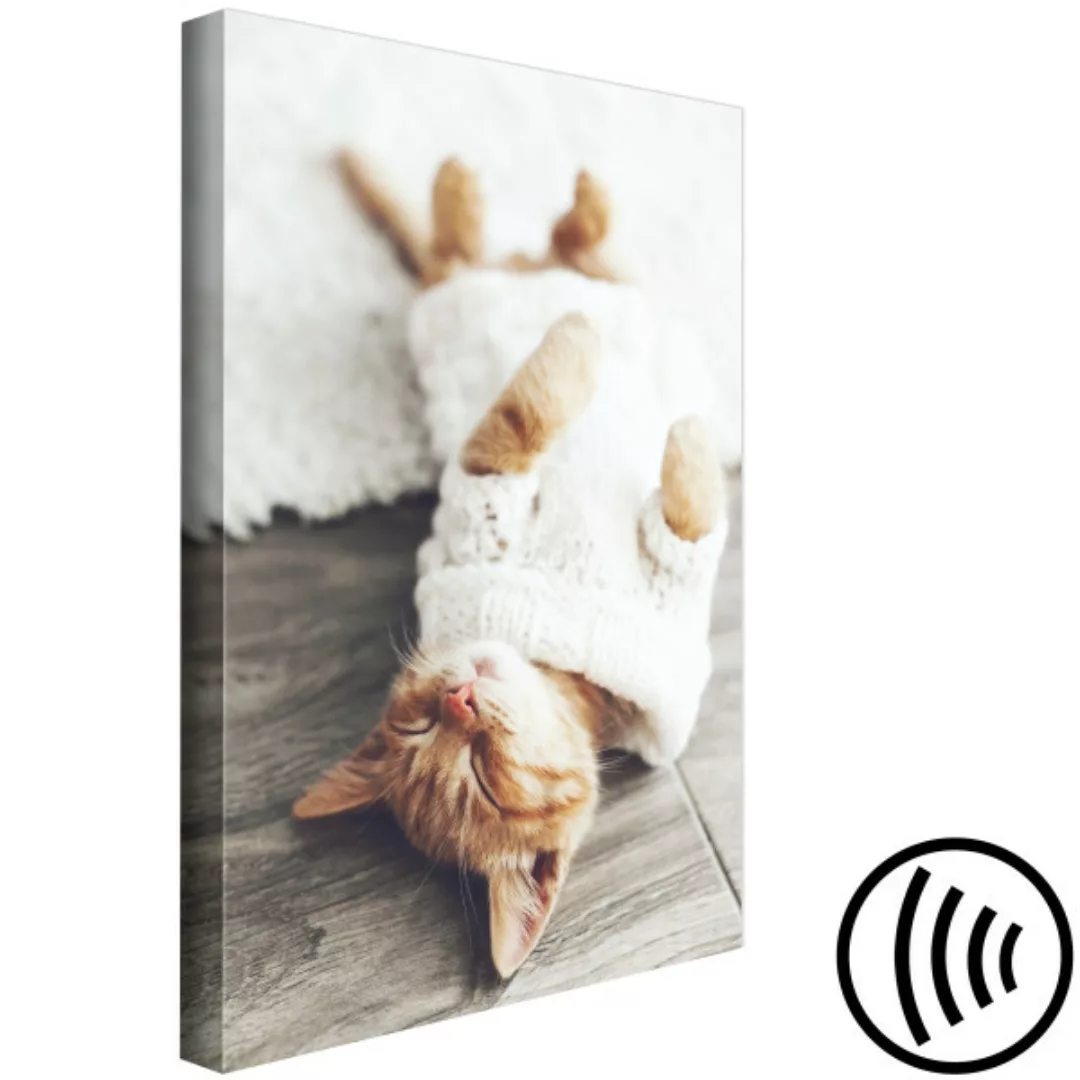 Bild auf Leinwand Lazy Cat (1 Part) Vertical XXL günstig online kaufen