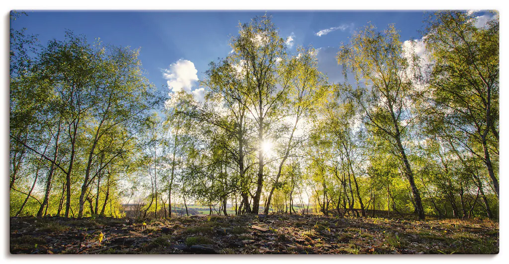 Artland Leinwandbild "Frühlingssonne", Wald, (1 St.), auf Keilrahmen gespan günstig online kaufen