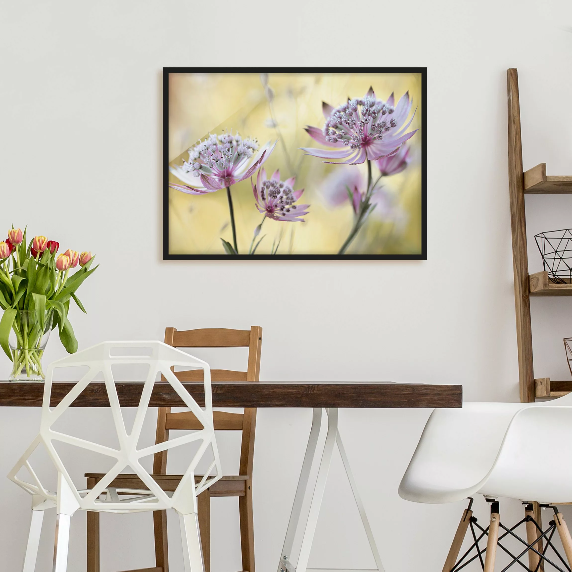 Bild mit Rahmen Blumen - Querformat Astrantia Major günstig online kaufen