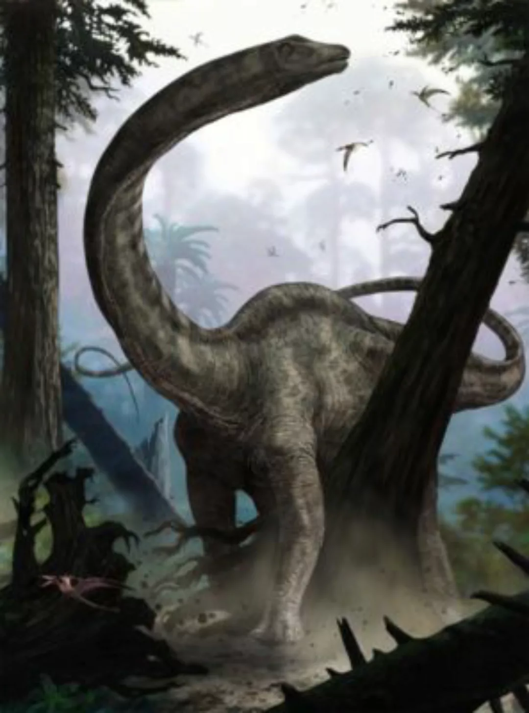 KOMAR Vlies Fototapete - Rebbachisaurus - Größe 184 x 248 cm mehrfarbig günstig online kaufen