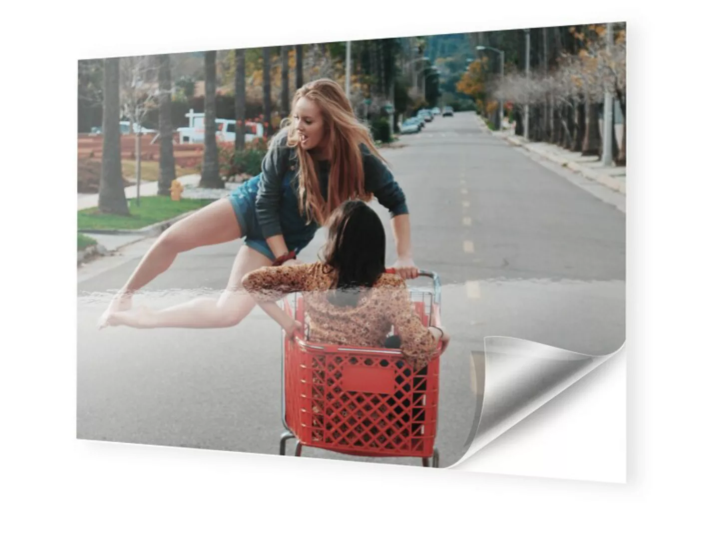 Foto auf Klebefolie im Format 70 x 50 cm im Format 70 x 50 cm günstig online kaufen