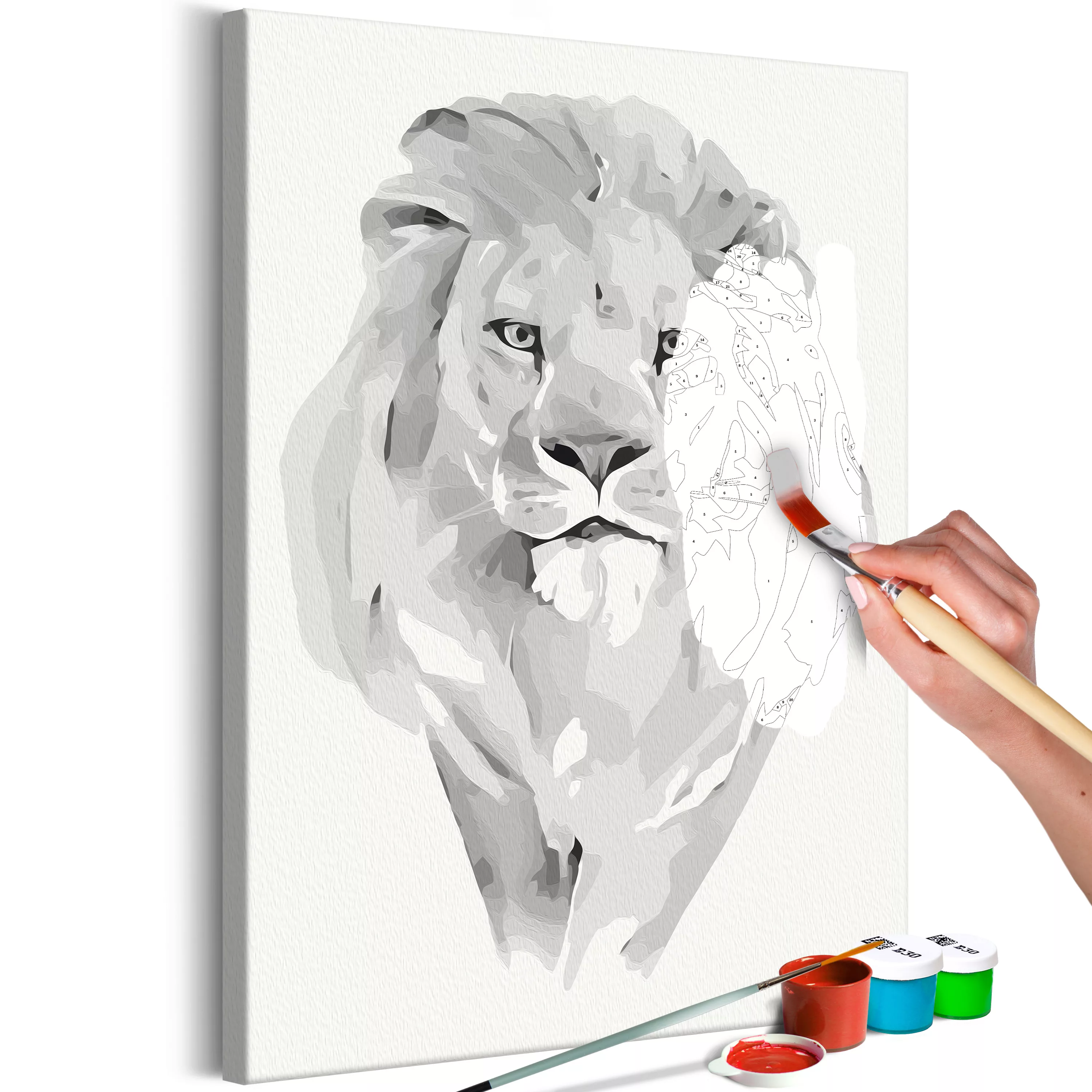 Malen Nach Zahlen - White Lion günstig online kaufen