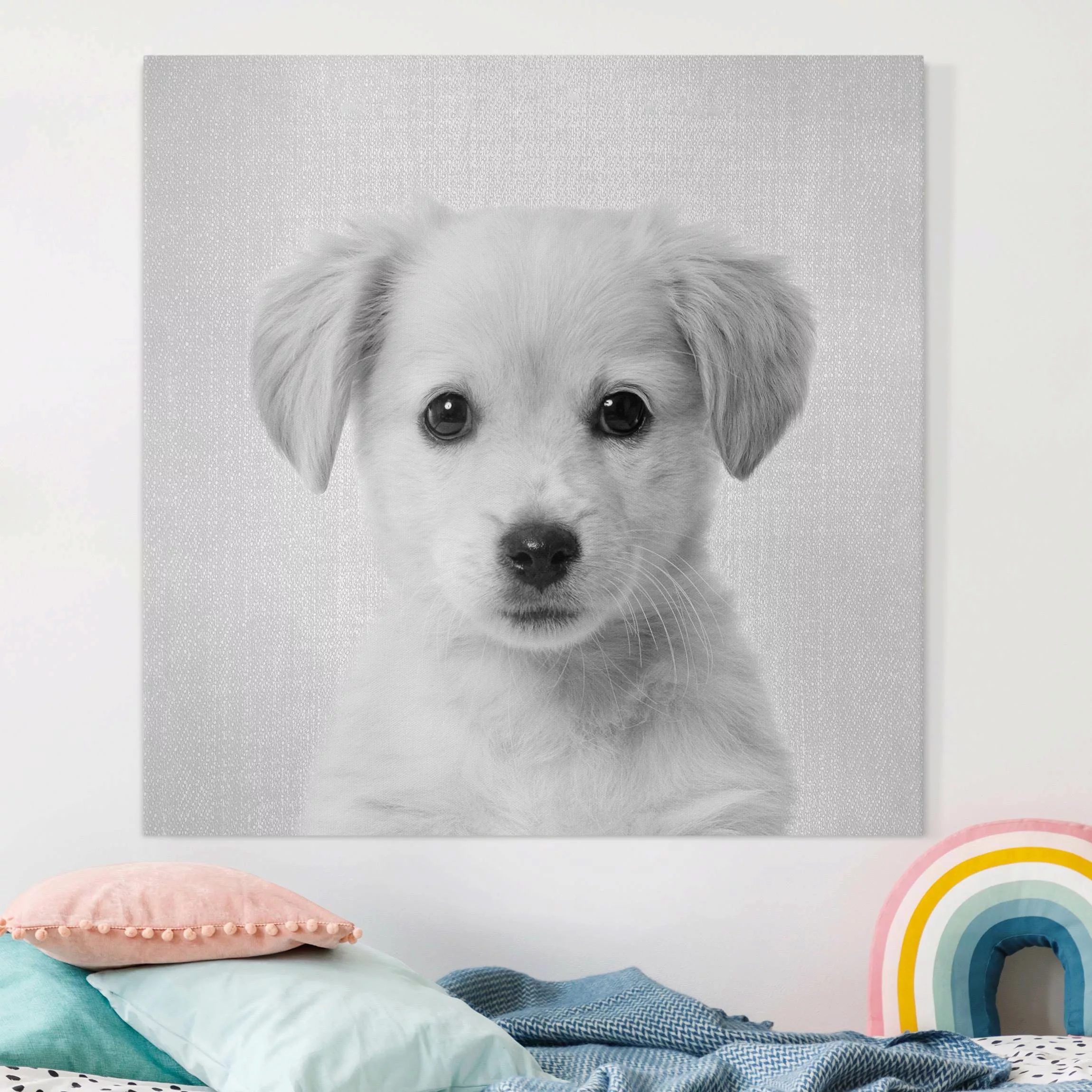 Leinwandbild Baby Golden Retriever Gizmo Schwarz Weiß günstig online kaufen