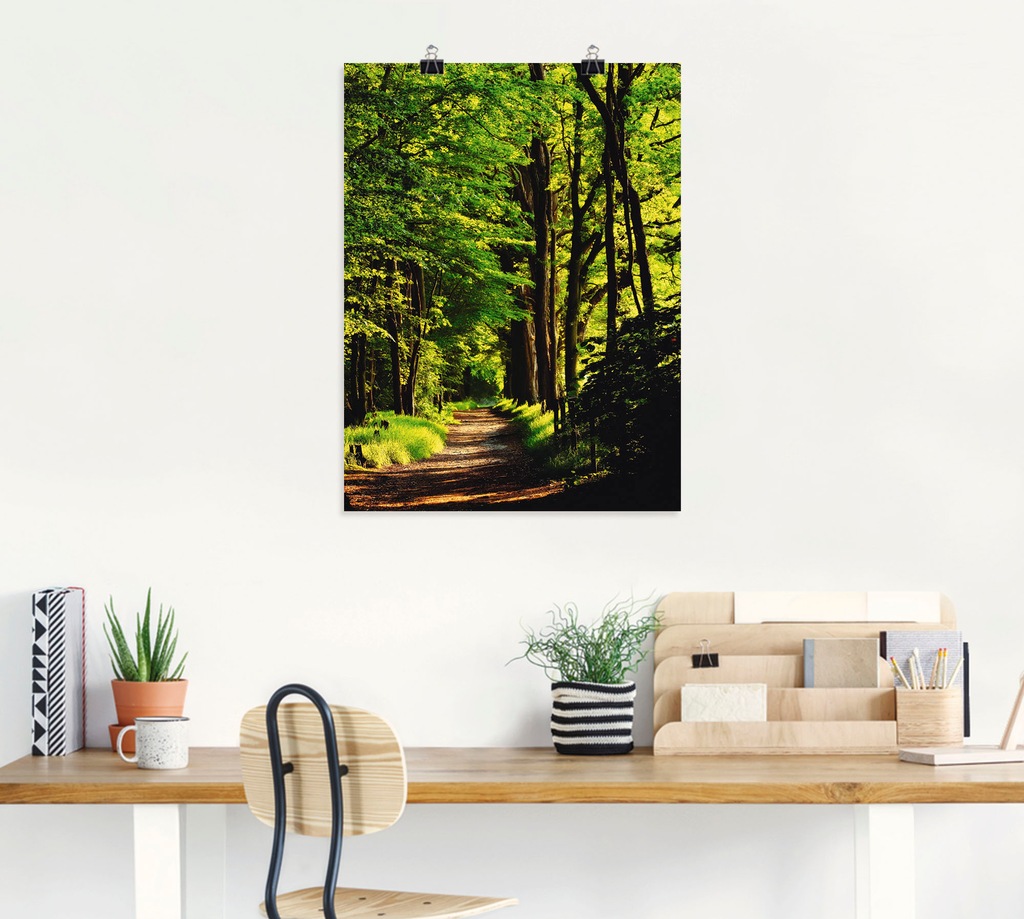 Artland Wandbild "Weg im Wald", Wald, (1 St.), als Alubild, Outdoorbild, Le günstig online kaufen