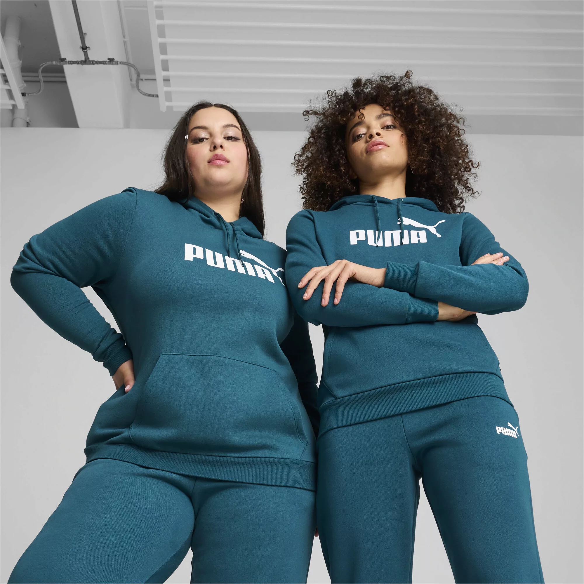 PUMA Hoodie Essentials Logo FL Hoodie Damen günstig online kaufen