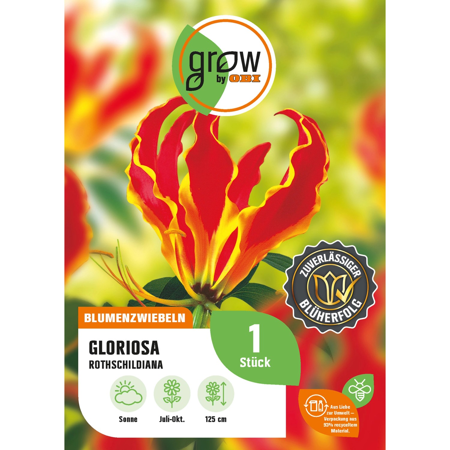 GROW by OBI Gloriosa Rothschildiana Höhe ca. 125 cm Gloriosa superba günstig online kaufen