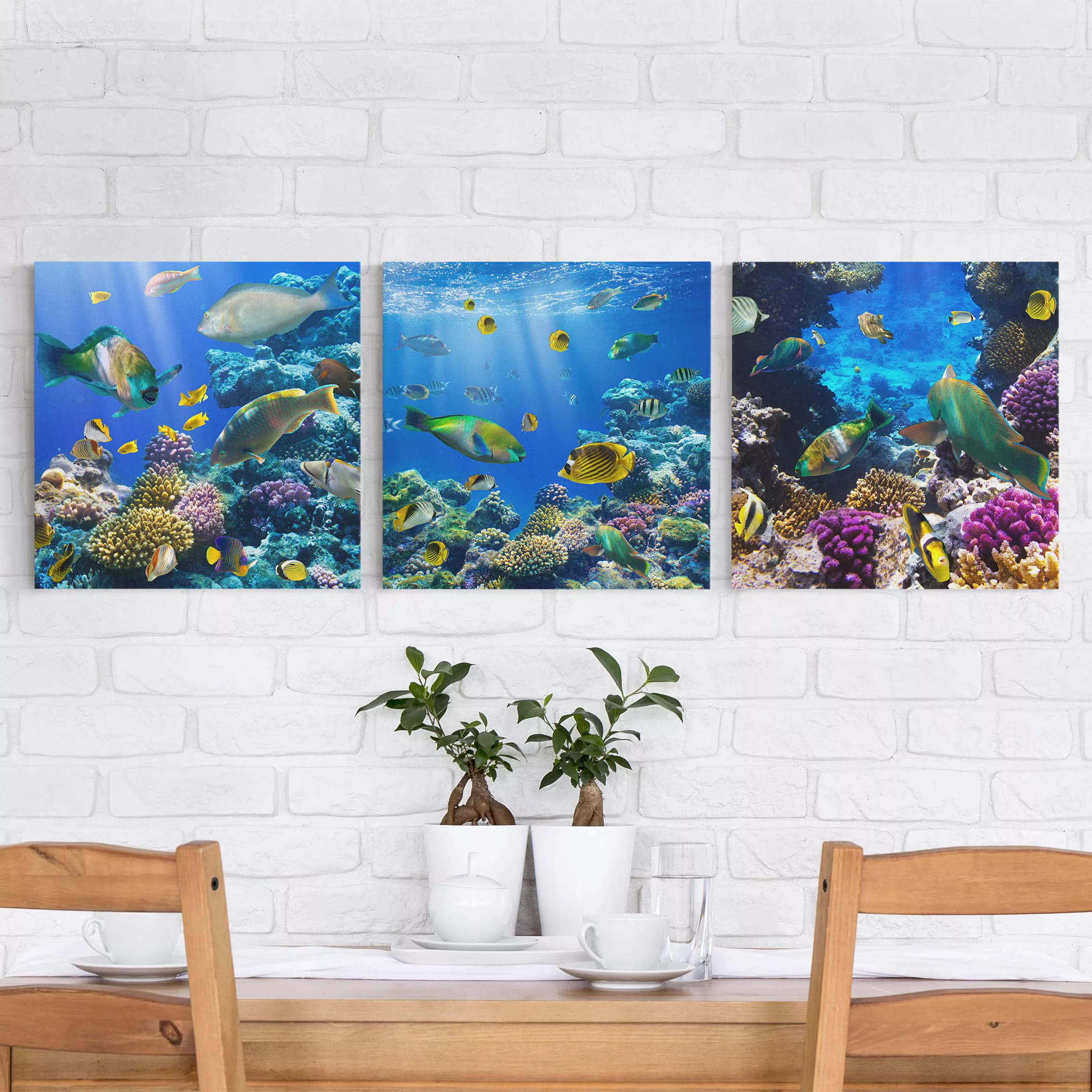 3-teiliges Leinwandbild Tiere - Quadrat Underwater Trio günstig online kaufen