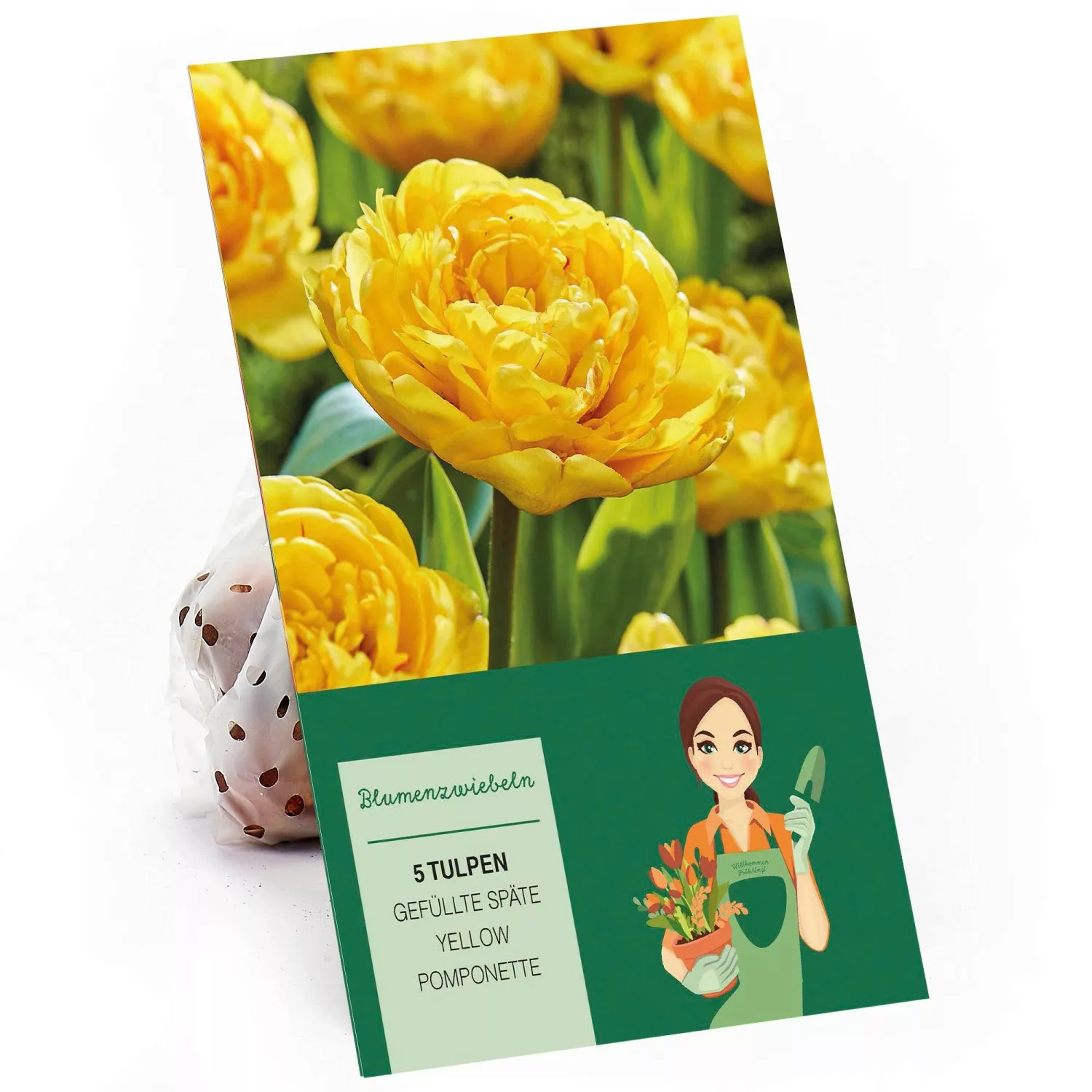 Pfingstrosen-Tulpe Yellow Pomponette Gelb 5 Stück Tulipa günstig online kaufen