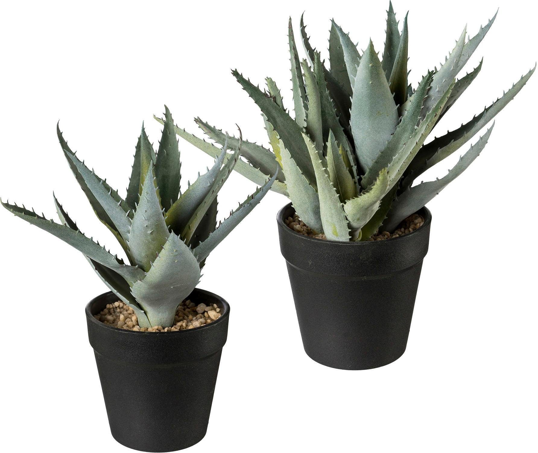 Künstliche Zimmerpflanze, Creativ green, 2er Set günstig online kaufen