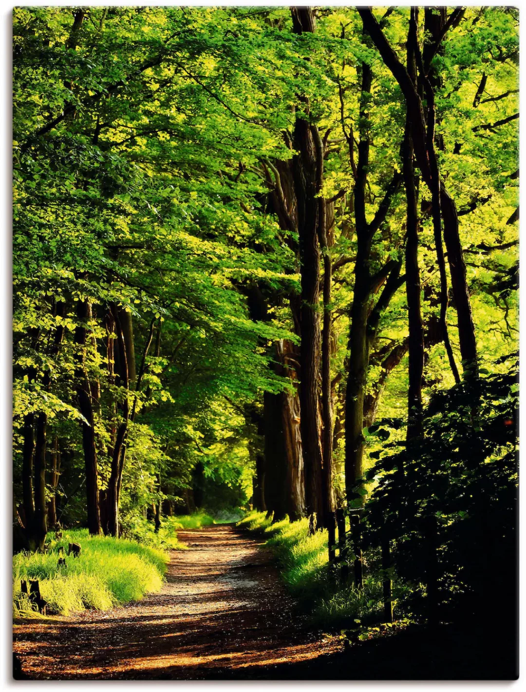 Artland Wandbild »Weg im Wald«, Wald, (1 St.), als Alubild, Outdoorbild, Le günstig online kaufen