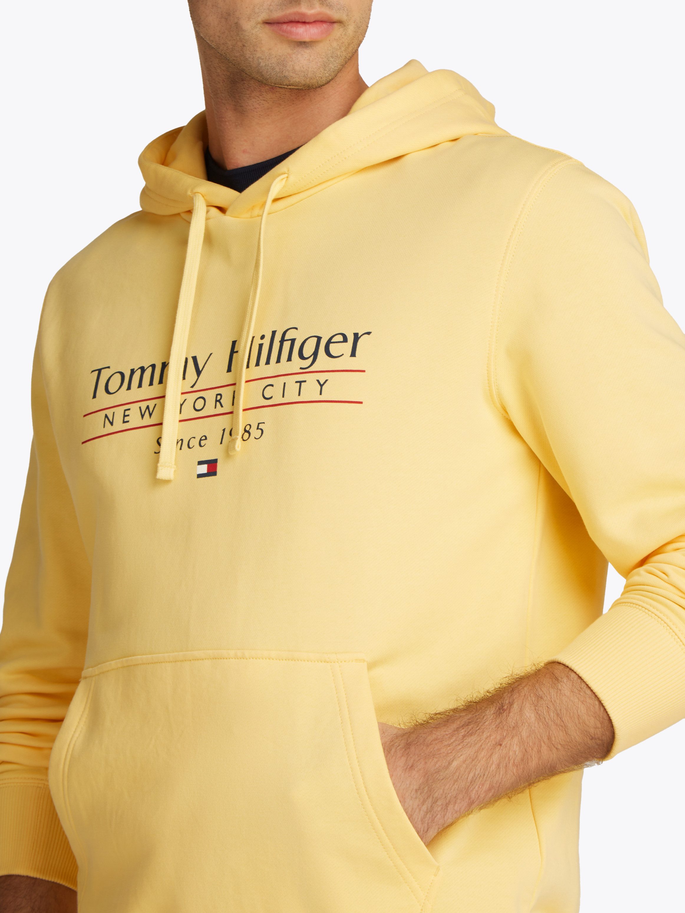 Tommy Hilfiger Hoodie HILFIGER CENTER STACK günstig online kaufen