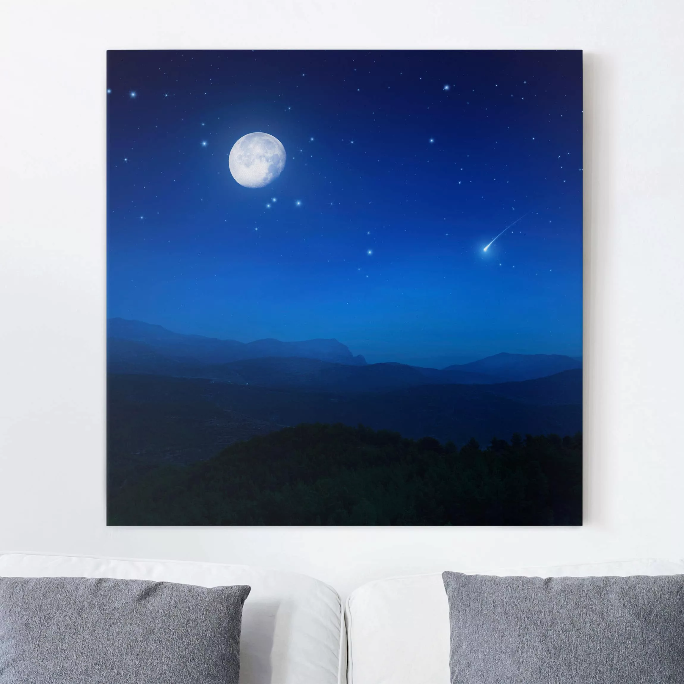 Leinwandbild Natur & Landschaft - Quadrat Ein Wunsch bei Vollmond günstig online kaufen