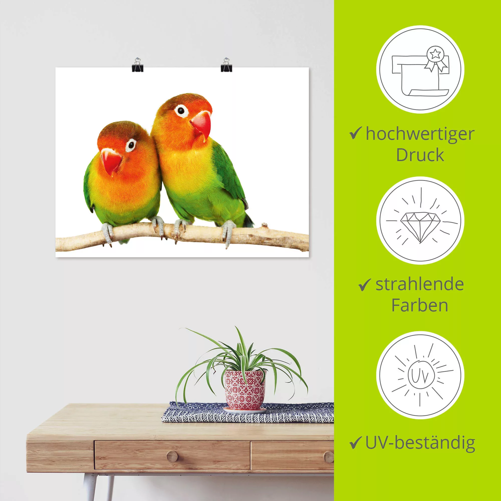 Artland Wandbild "Paar von Grauköpfchen - Papageien", Vögel, (1 St.), als L günstig online kaufen