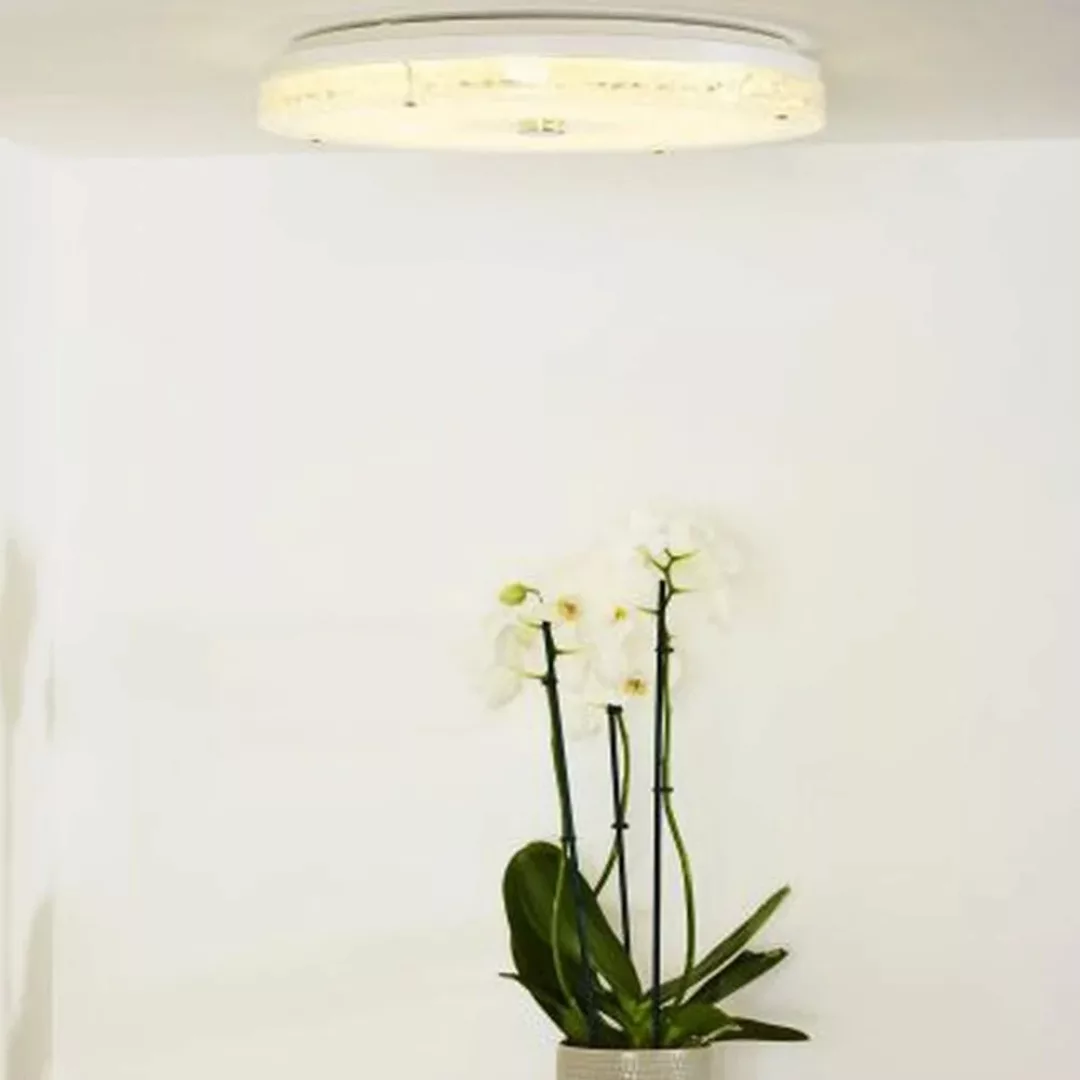 LED Deckenleuchte Vivi in weiß, rund günstig online kaufen