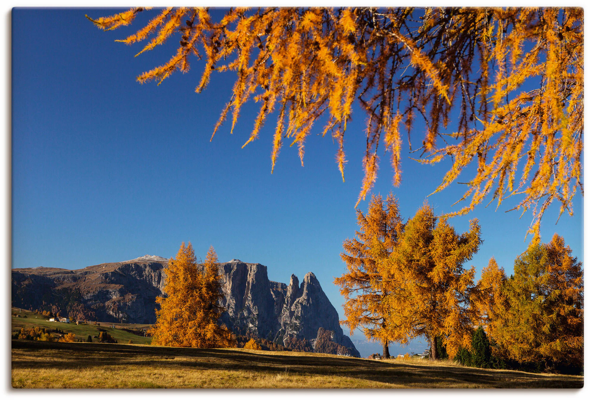 Artland Leinwandbild "Goldener Herbst auf der Seiser Alm", Wiesen & Baumbil günstig online kaufen