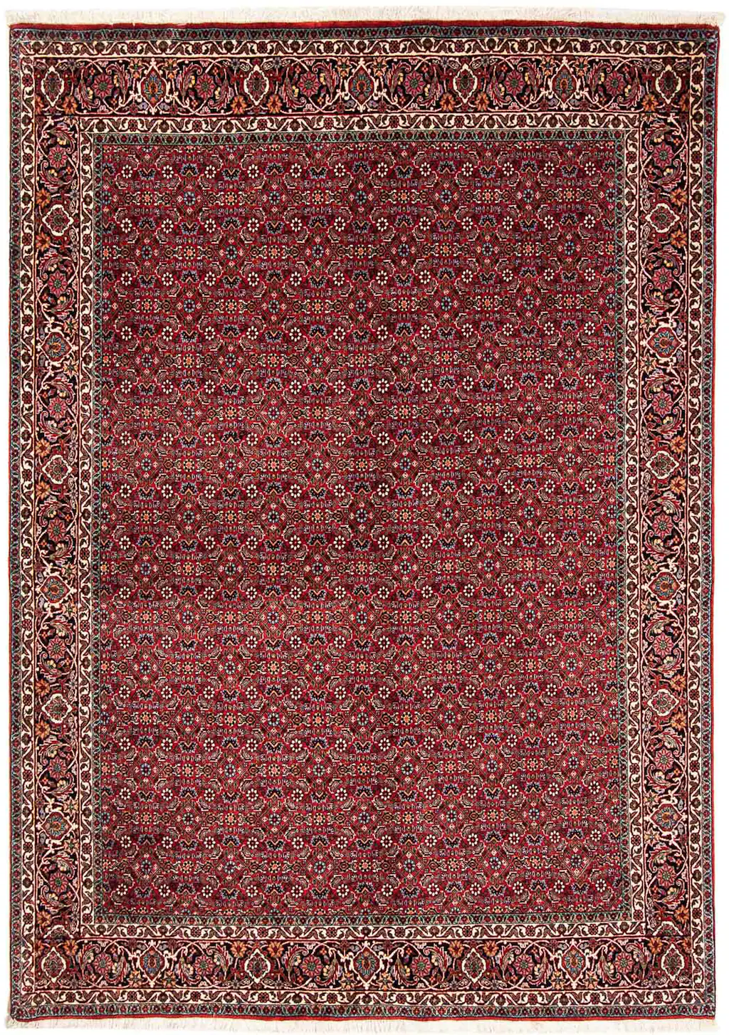 morgenland Orientteppich »Perser - Bidjar - 231 x 170 cm - dunkelrot«, rech günstig online kaufen