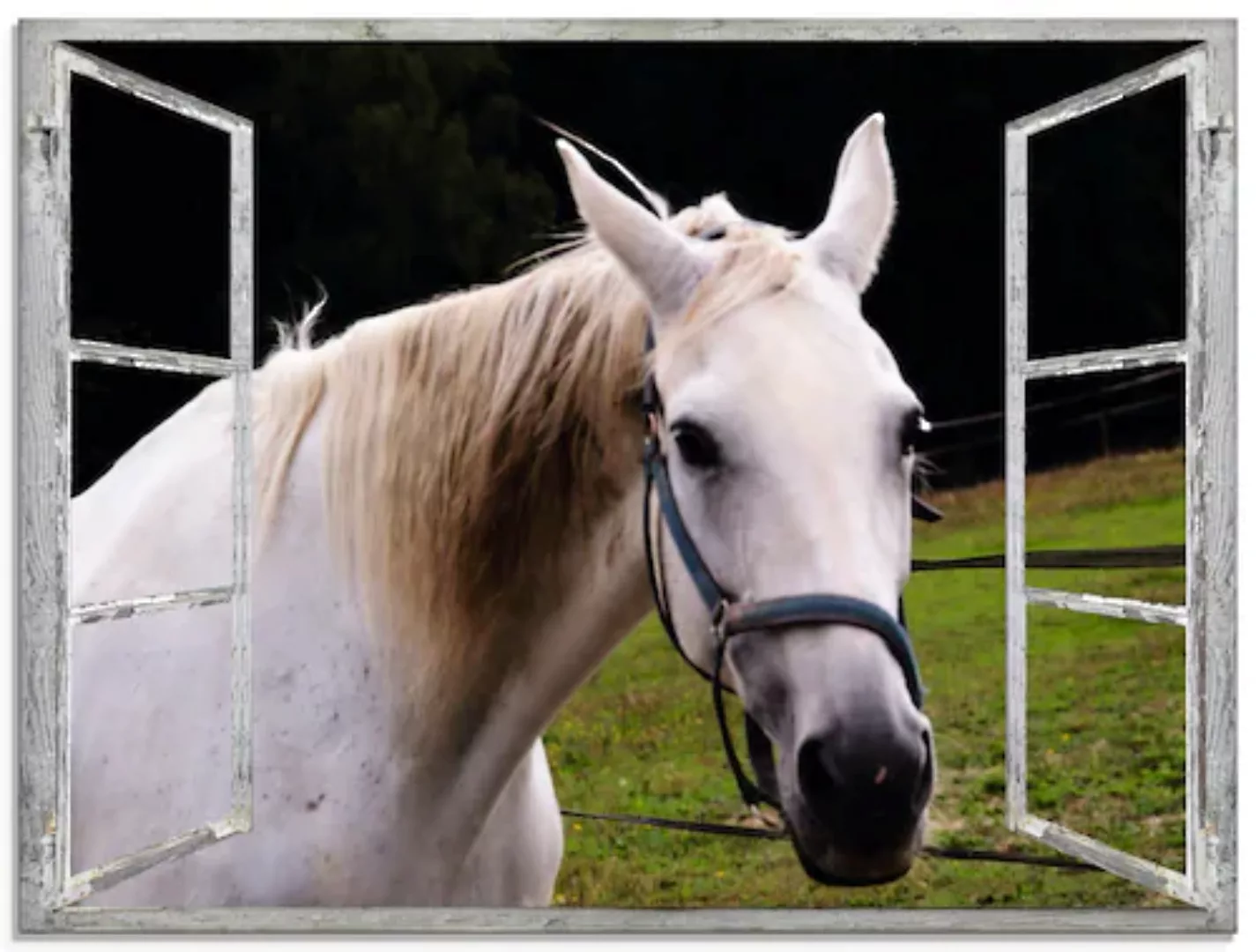 Artland Glasbild »Fensterblick - weisses Pferd«, Haustiere, (1 St.), in ver günstig online kaufen
