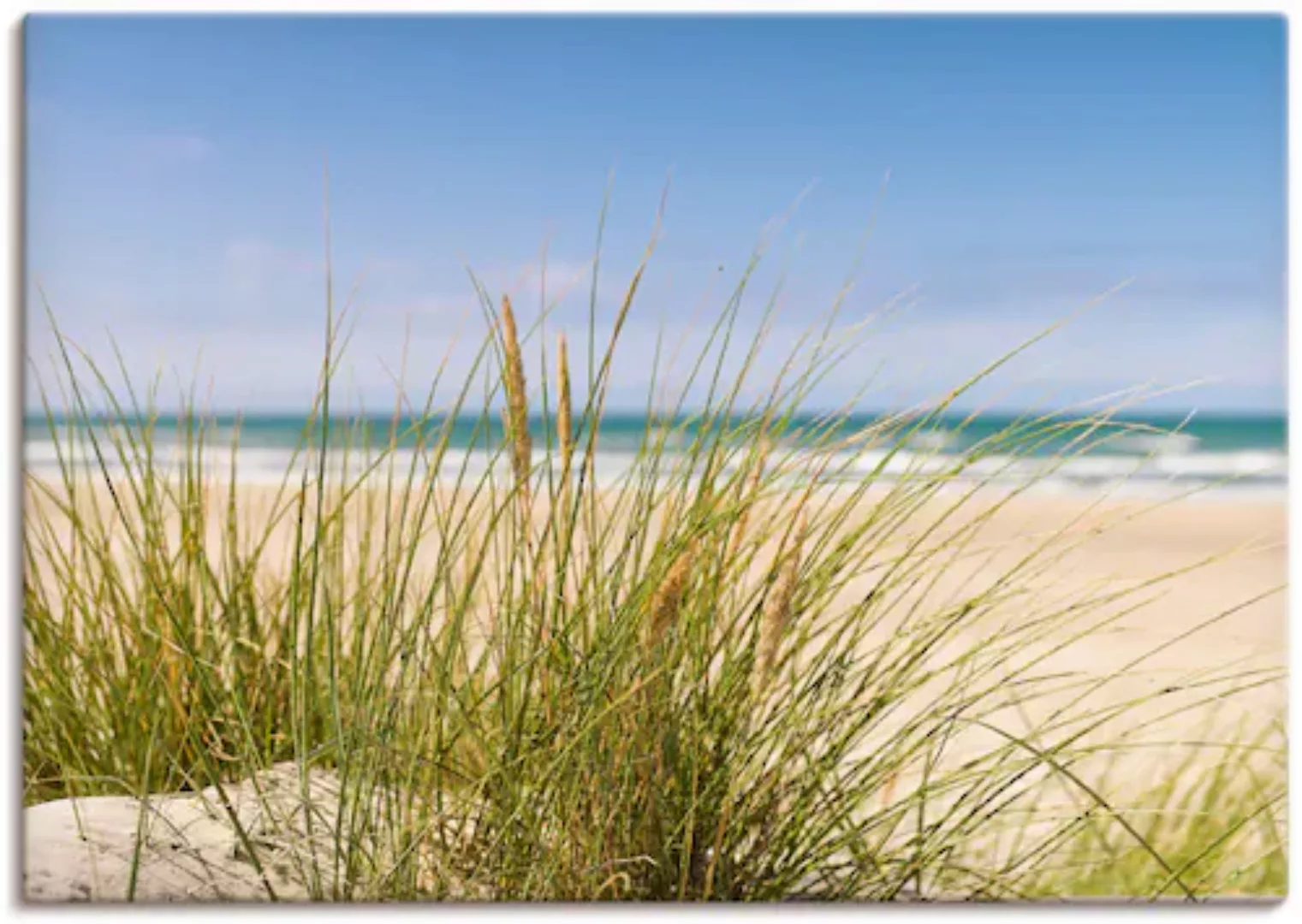 Artland Wandbild »Dünengras«, Strand, (1 St.), als Alubild, Outdoorbild, Le günstig online kaufen
