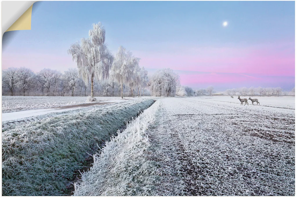 Artland Wandfolie "Ein kurzweiliges Wintermärchen", Vier Jahreszeiten Bilde günstig online kaufen