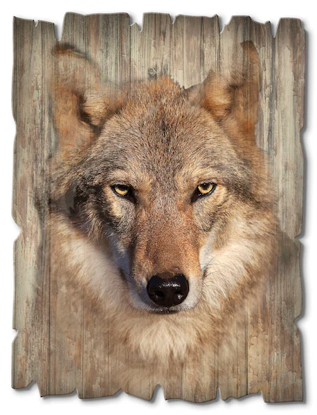 Artland Holzbild »Wolf«, Wildtiere, (1 St.) günstig online kaufen