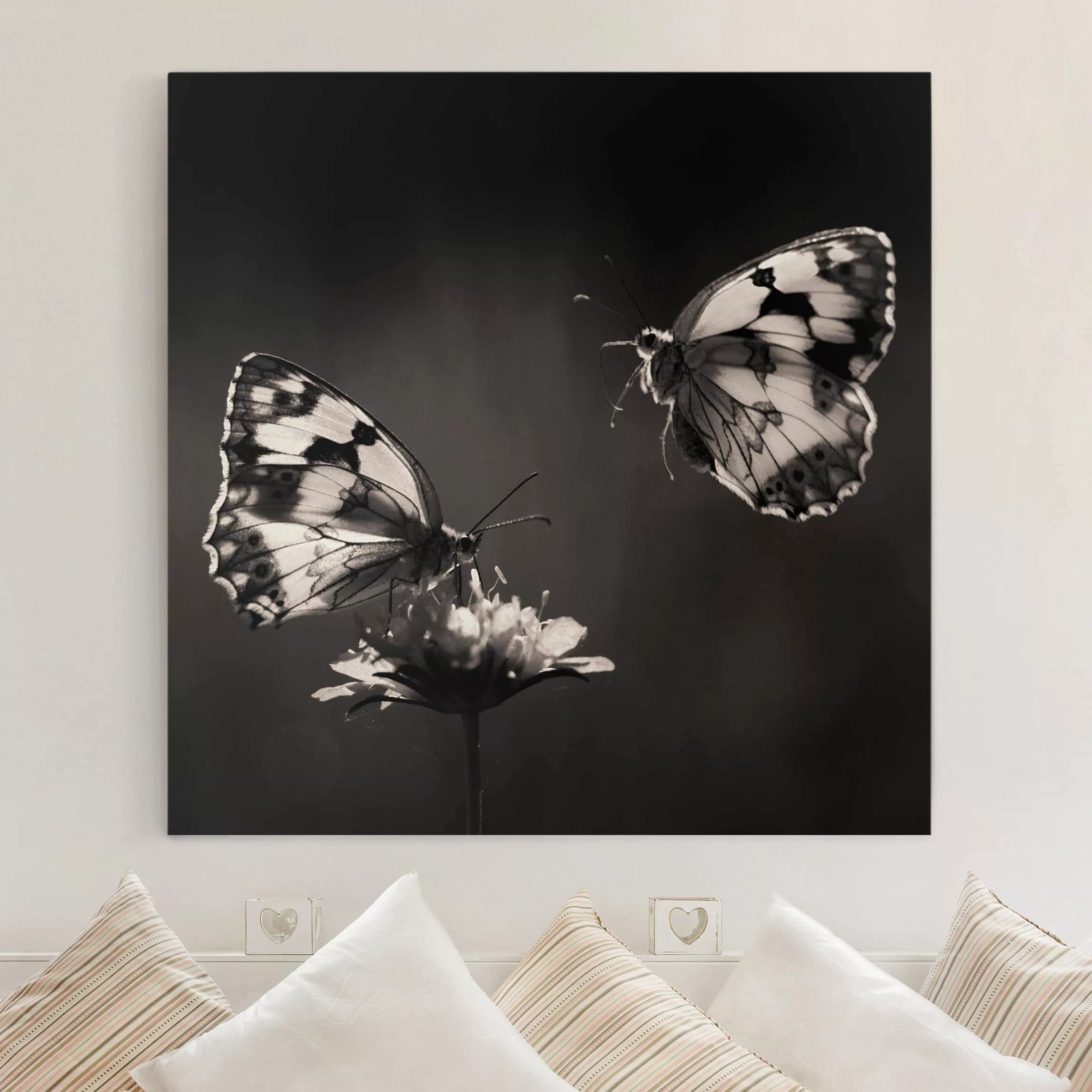 Leinwandbild Schmetterling - Quadrat Medioluto Norte günstig online kaufen