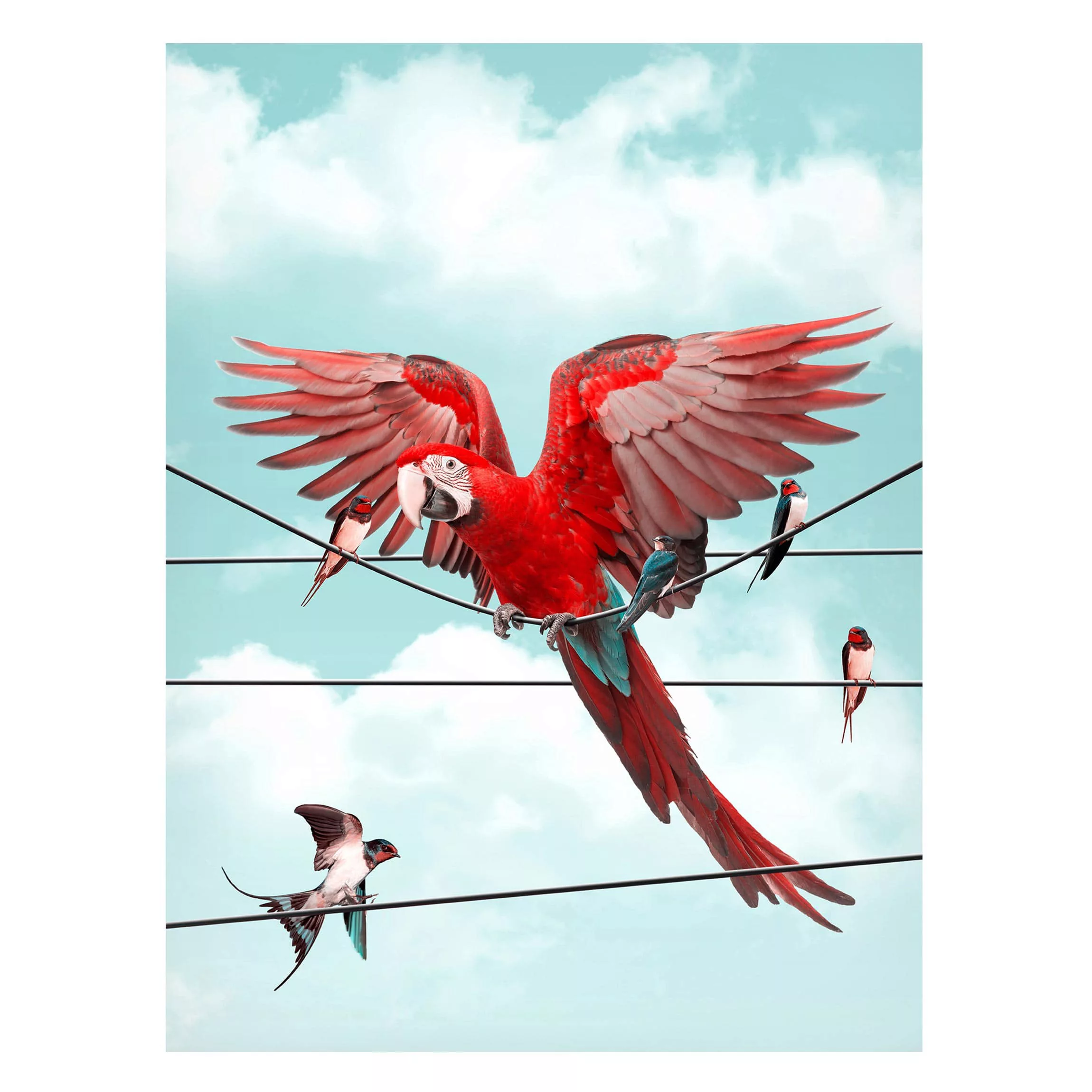 Magnettafel Tiere - Hochformat 3:4 Himmel mit Vögeln günstig online kaufen