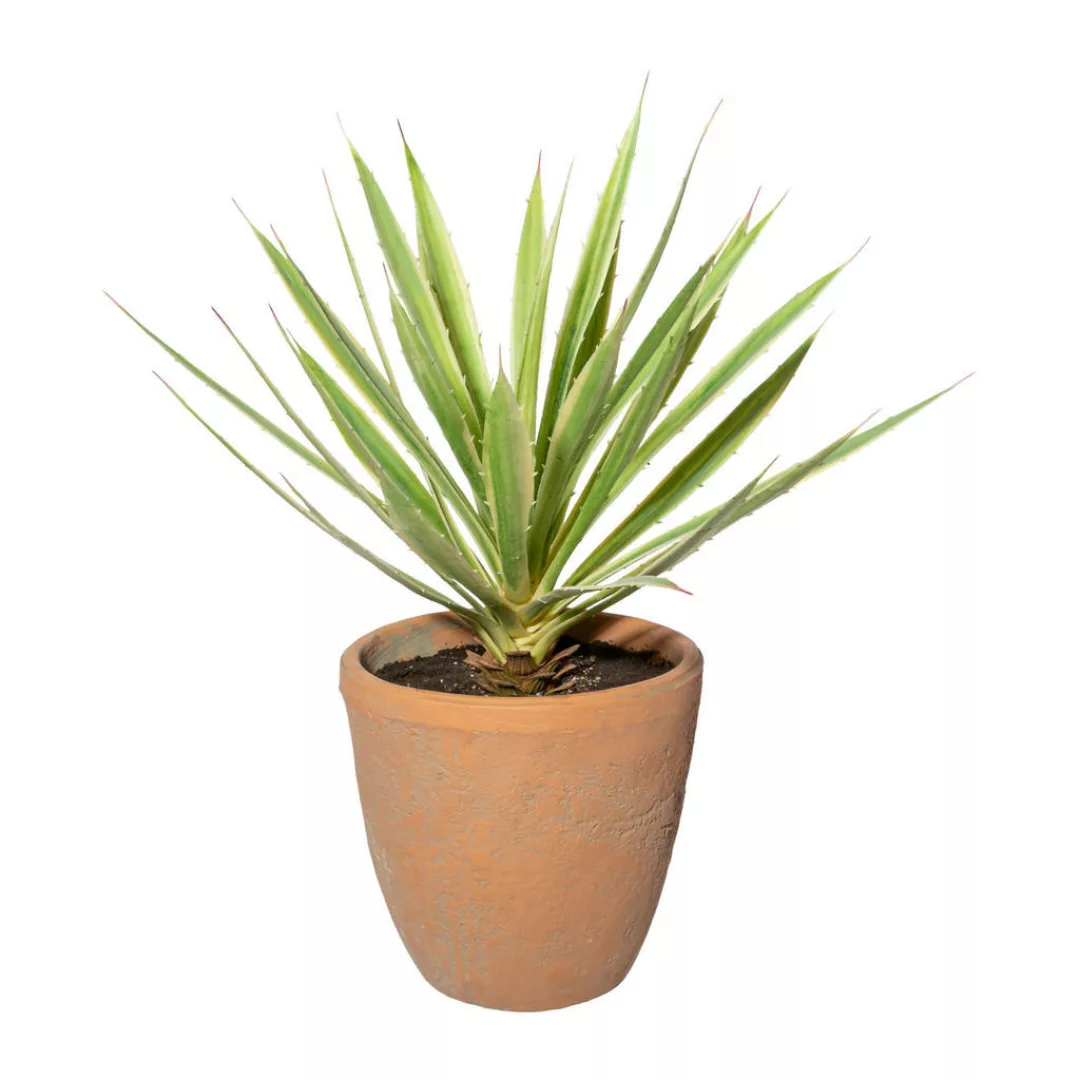 Kunstpflanze Yucca grün Kunststoff B/H/L: ca. 27x49x25 cm günstig online kaufen