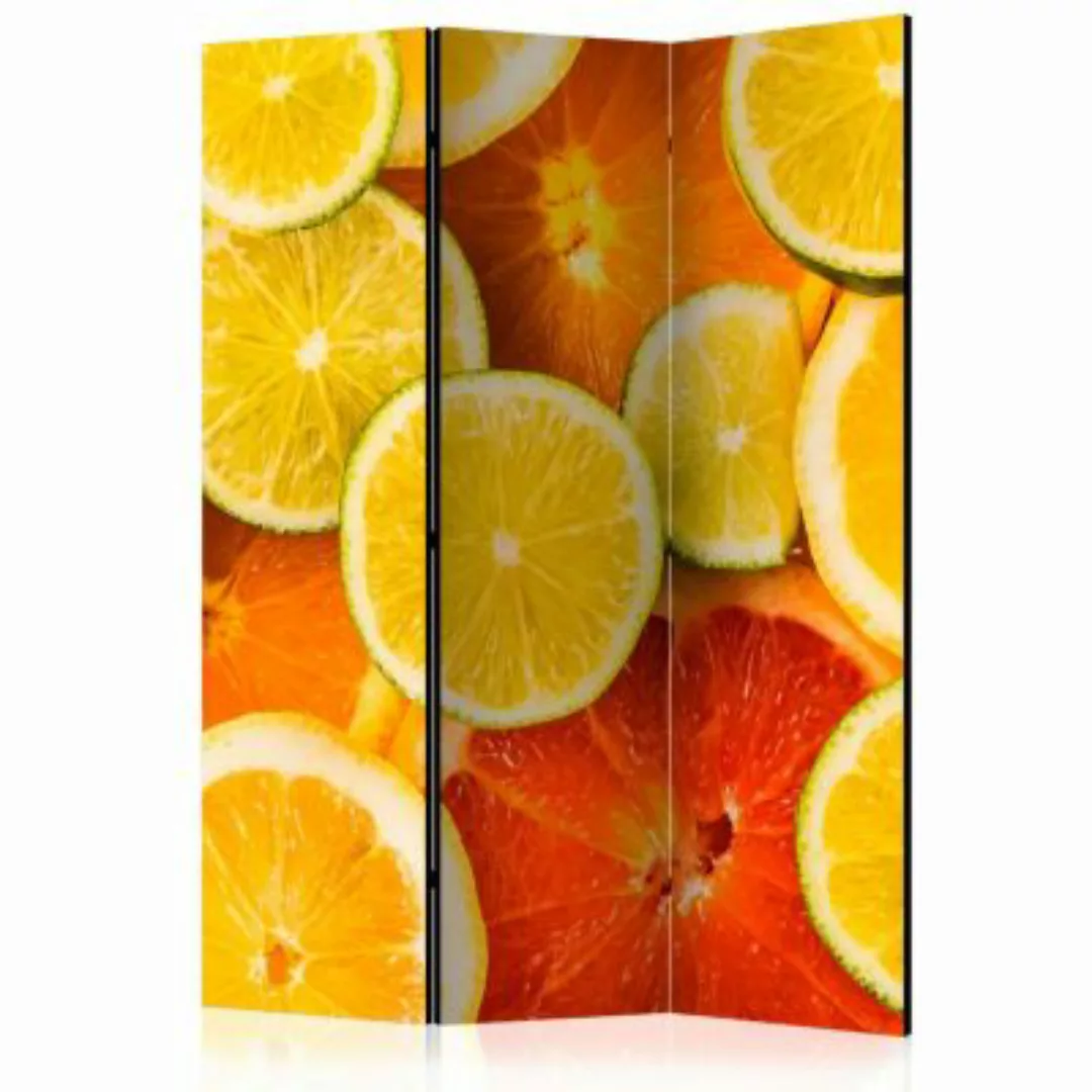artgeist Paravent Citrus fruits [Room Dividers] gelb-kombi Gr. 135 x 172 günstig online kaufen