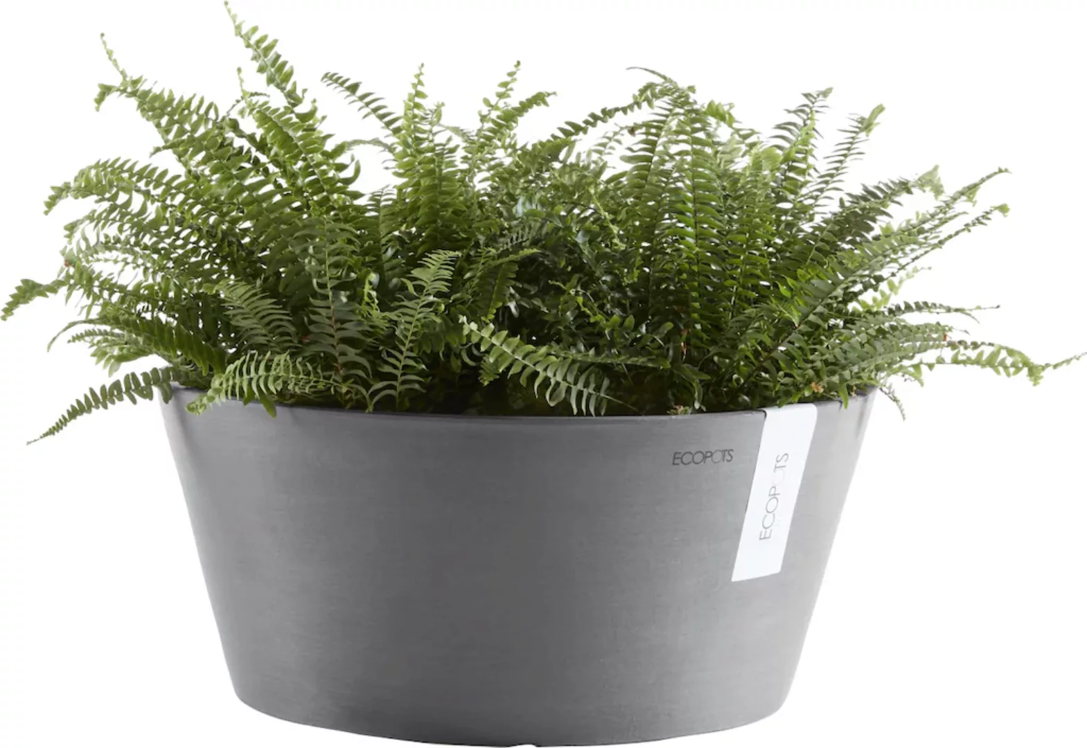 Ecopots Pflanzschale Frankfurt rund Ø 31 cm Grau günstig online kaufen