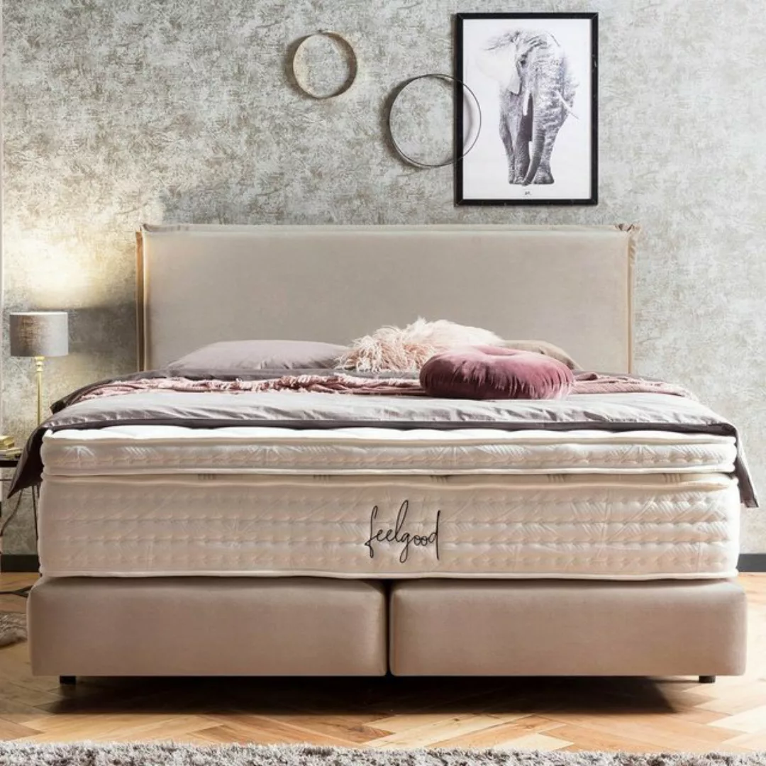 BettCo Boxspringbett London (in Beige Samt, 180 x 200 cm), Kopfteil mit Bie günstig online kaufen