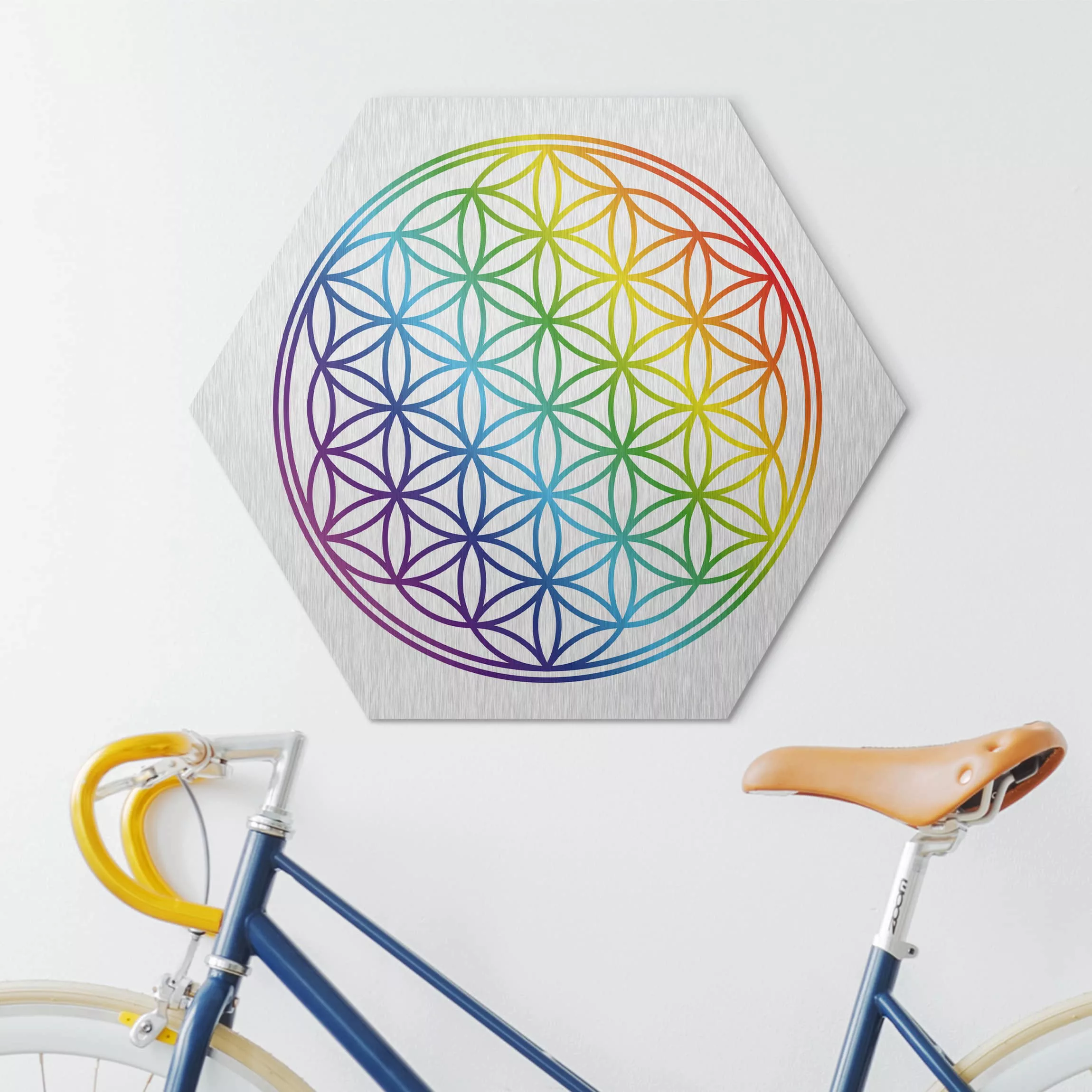 Hexagon-Alu-Dibond Bild Muster & Textur Blume des Lebens Regenbogenfarbe günstig online kaufen