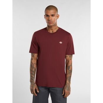 Dickies  T-Shirts & Poloshirts MAPLETON TEE SS DK0A4XDB-L161 ANDORRA günstig online kaufen