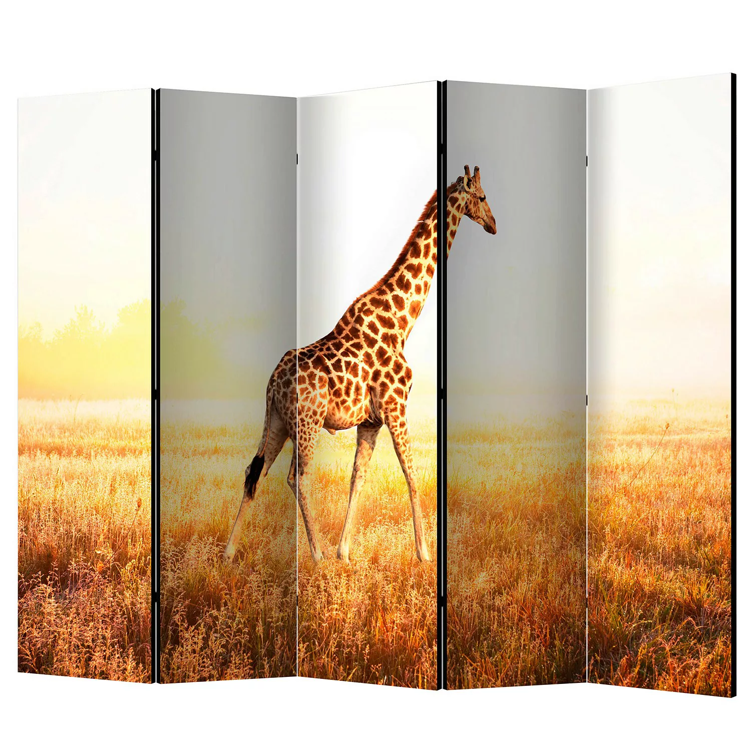 home24 Paravent Giraffe Walk günstig online kaufen