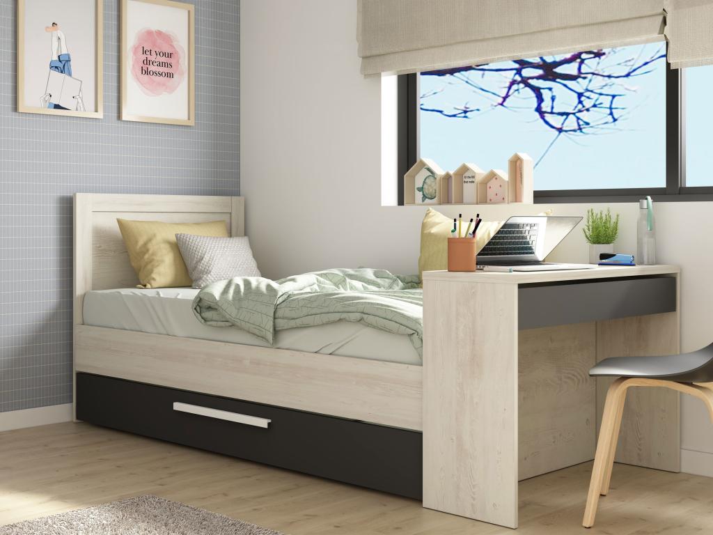 Ausziehbett - 2 x 90 x 200 cm - Mit Schreibtisch - Holzfarben & Anthrazit - günstig online kaufen