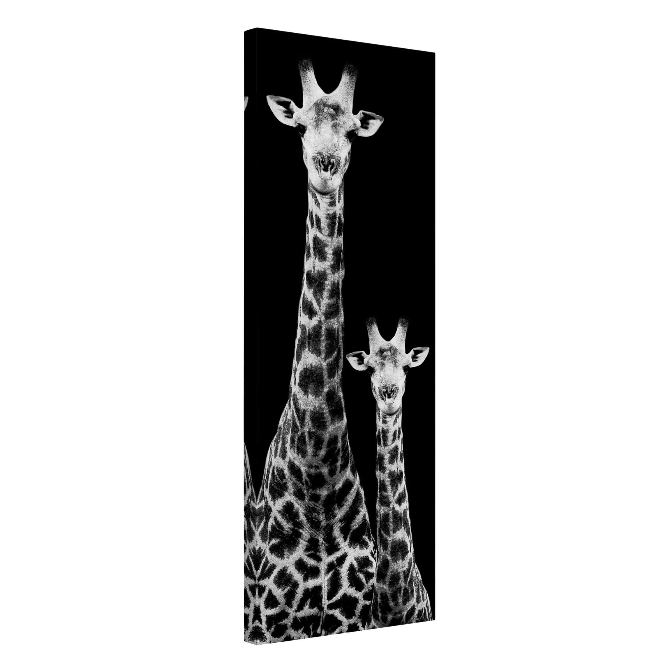 Leinwandbild Tiere - Hochformat Giraffen Duo schwarz-weiß günstig online kaufen