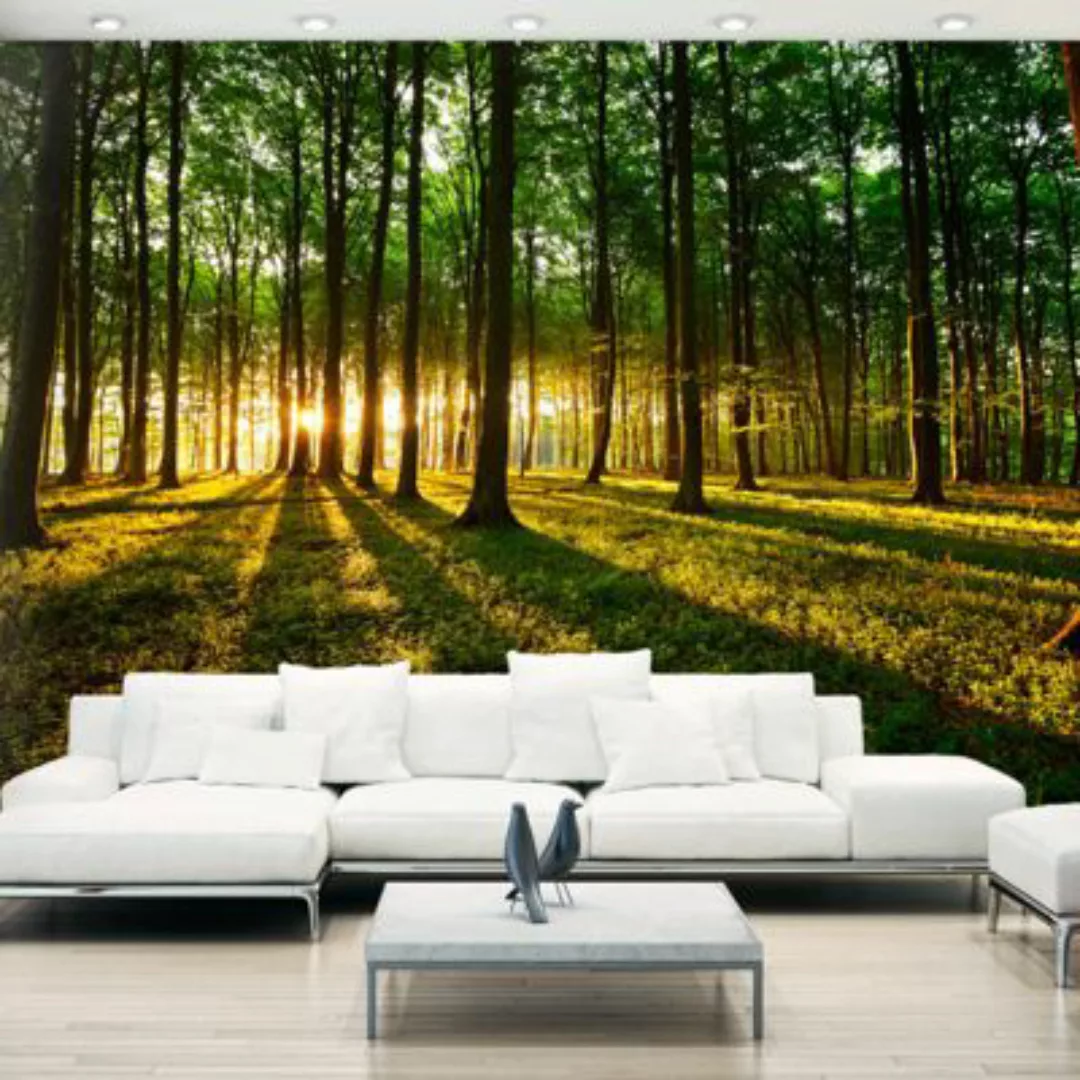artgeist Fototapete Mystical Morning mehrfarbig Gr. 150 x 105 günstig online kaufen